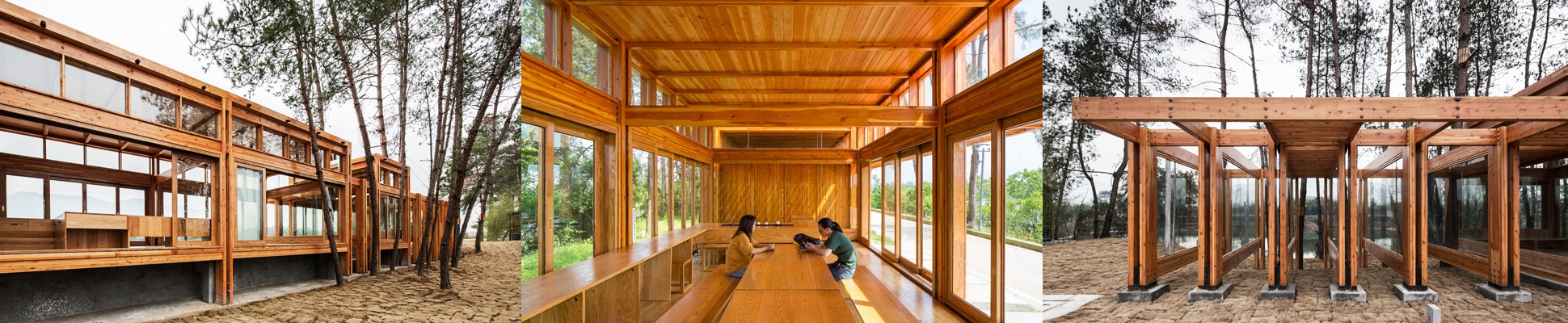 DnA Design and Architecture