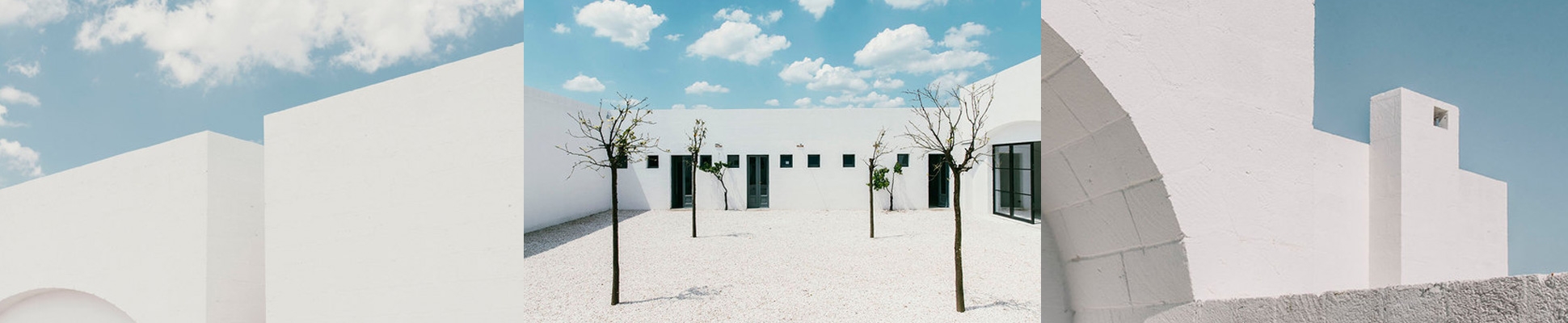 Studio Andrew Trotter