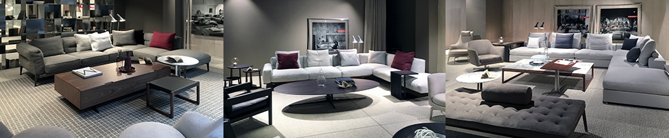 Discover the world of manufacturer Flexform New York