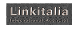 Logo for manufacturer LinkItalia
