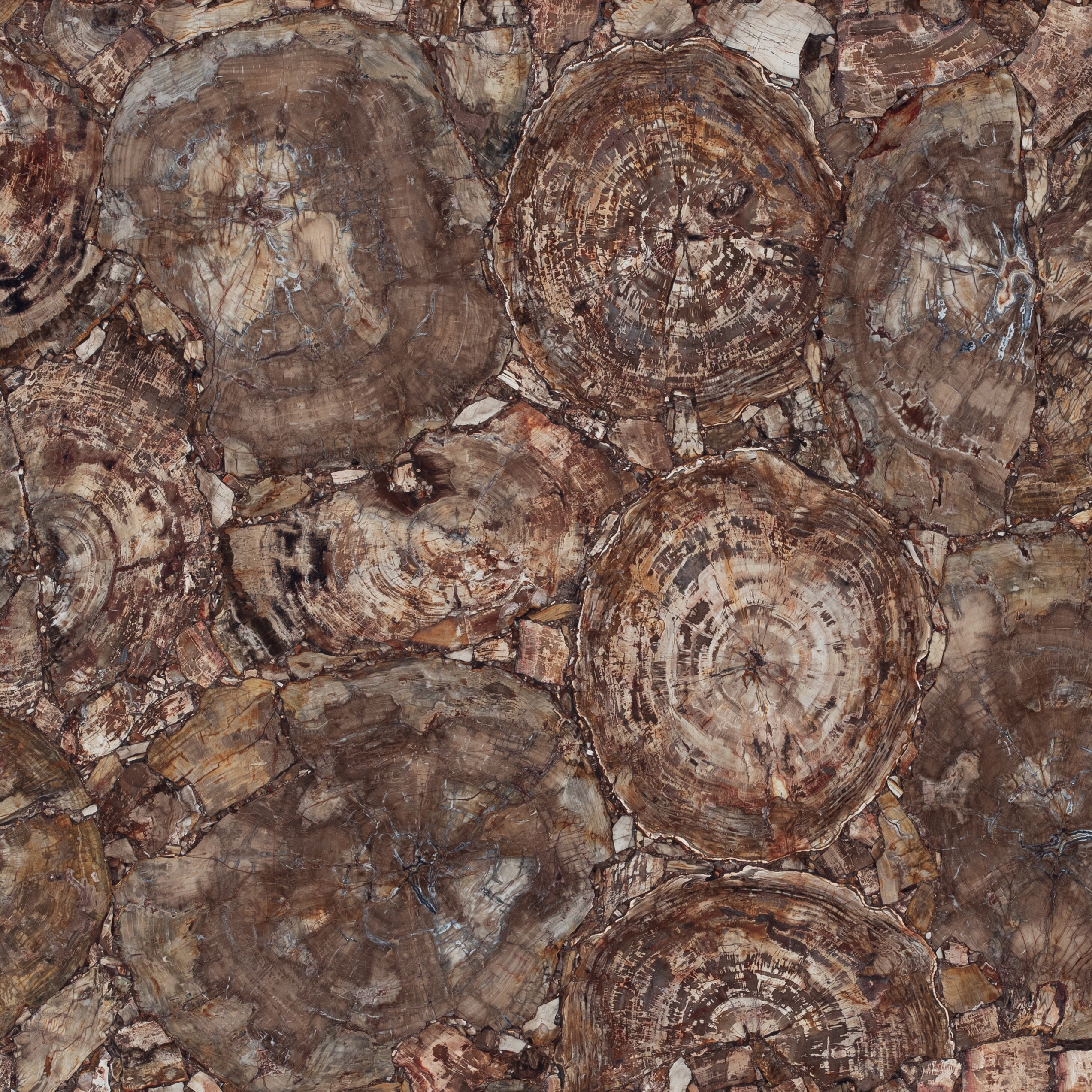 Produkt Petrified Wood des Herstellers Caesarstone anzeigen