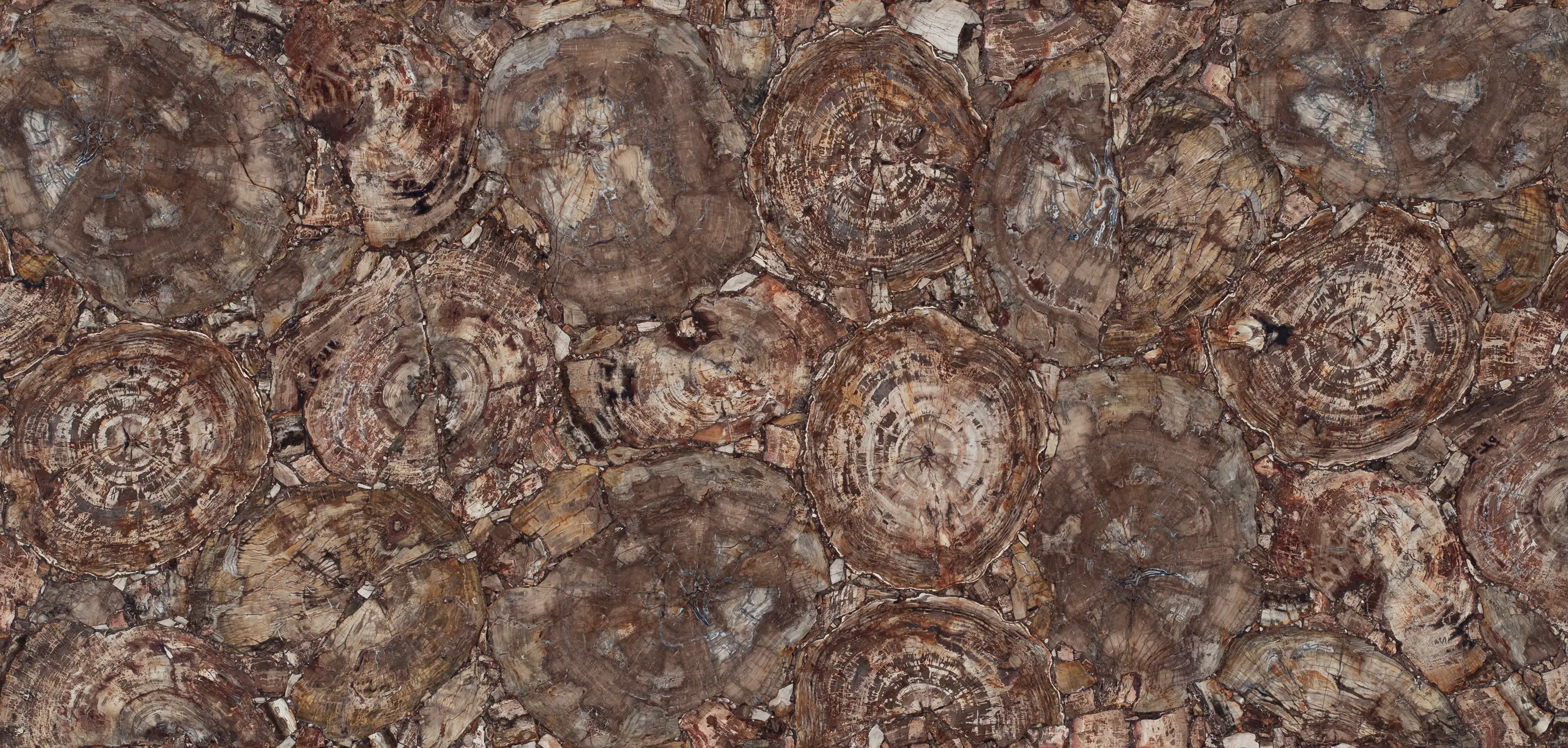 Caesarstone - Petrified Wood