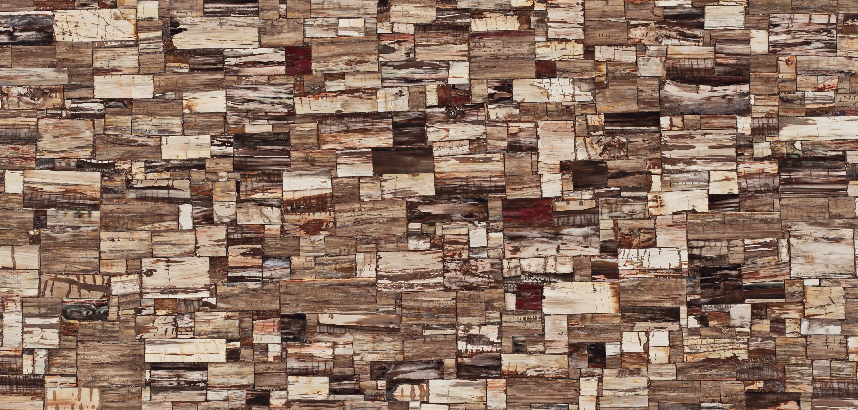 Caesarstone - Petrified Wood – Classic
