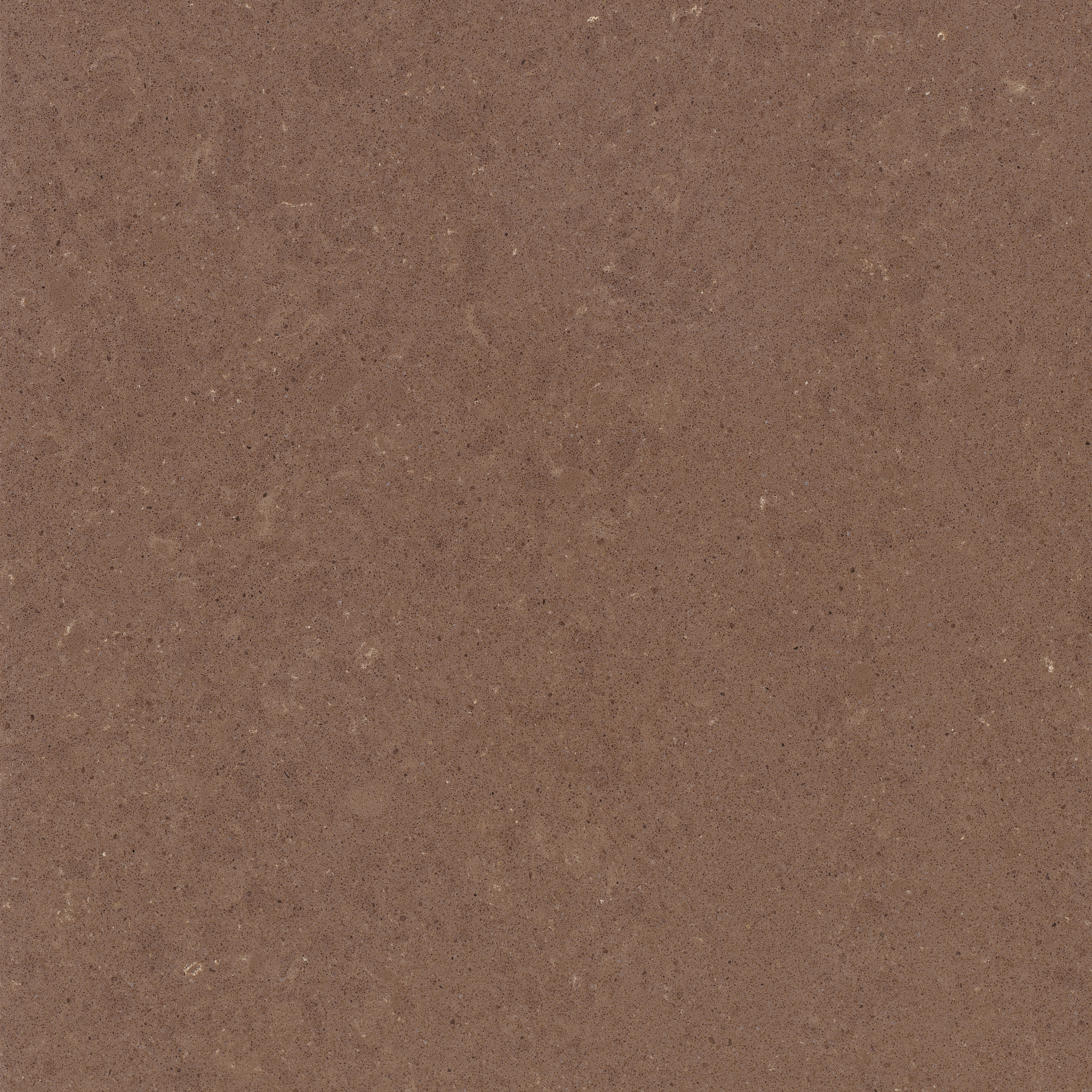 Display product Wild Rice from manufacturer Caesarstone
