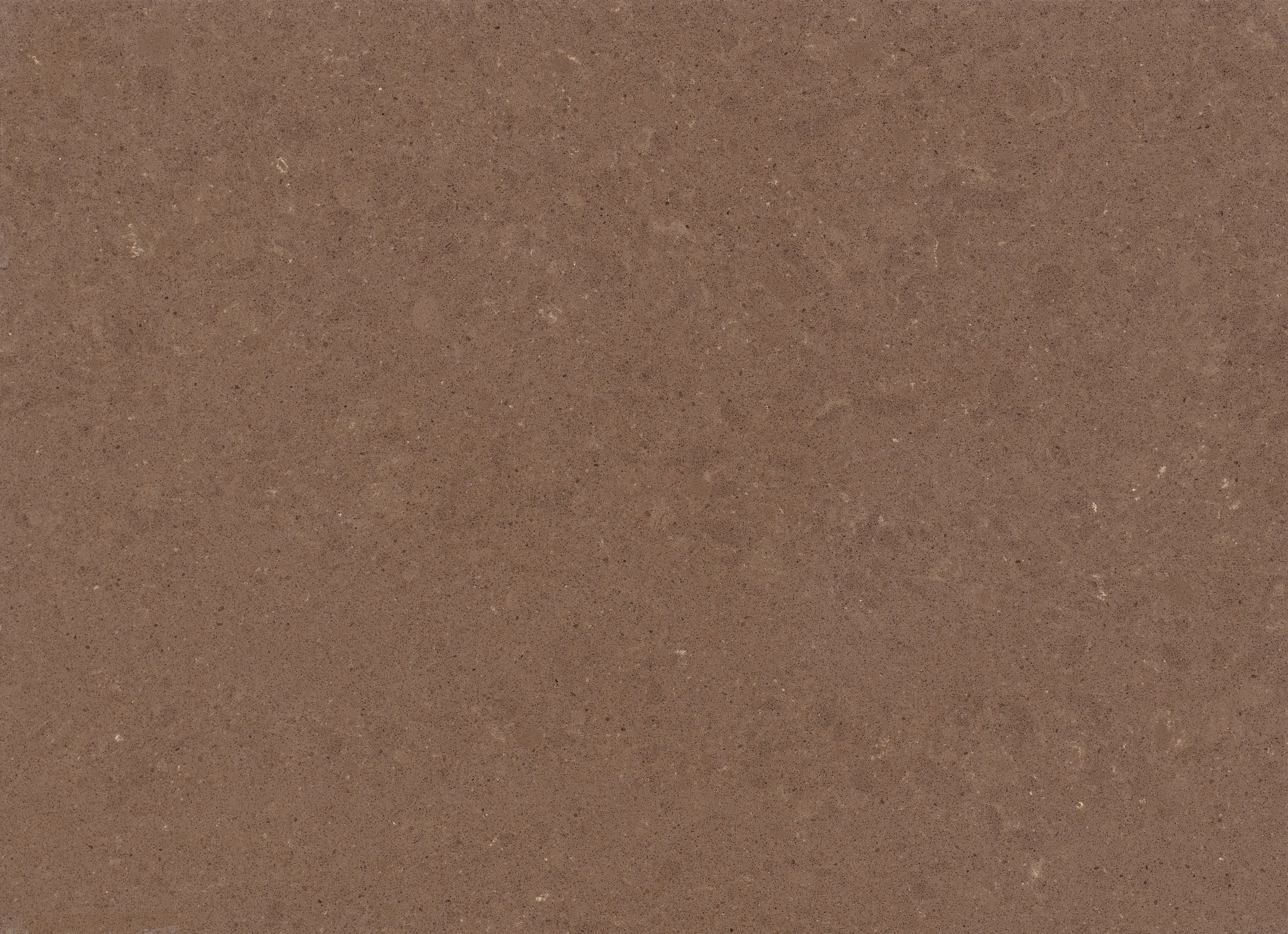 Caesarstone - Wild Rice
