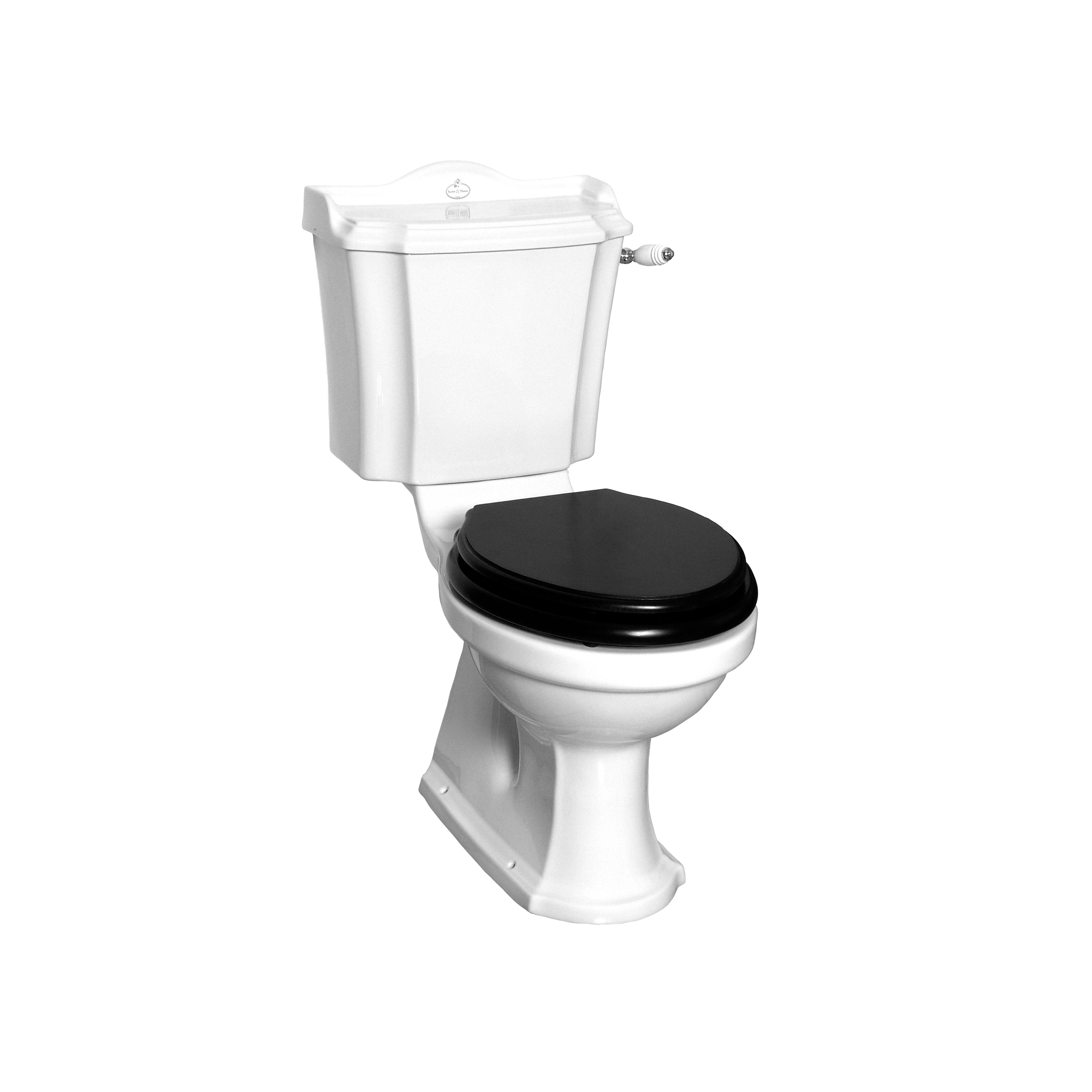 Mostra il prodotto London monoblock toilet with handle Bottom outlet del produttore Kenny & Mason