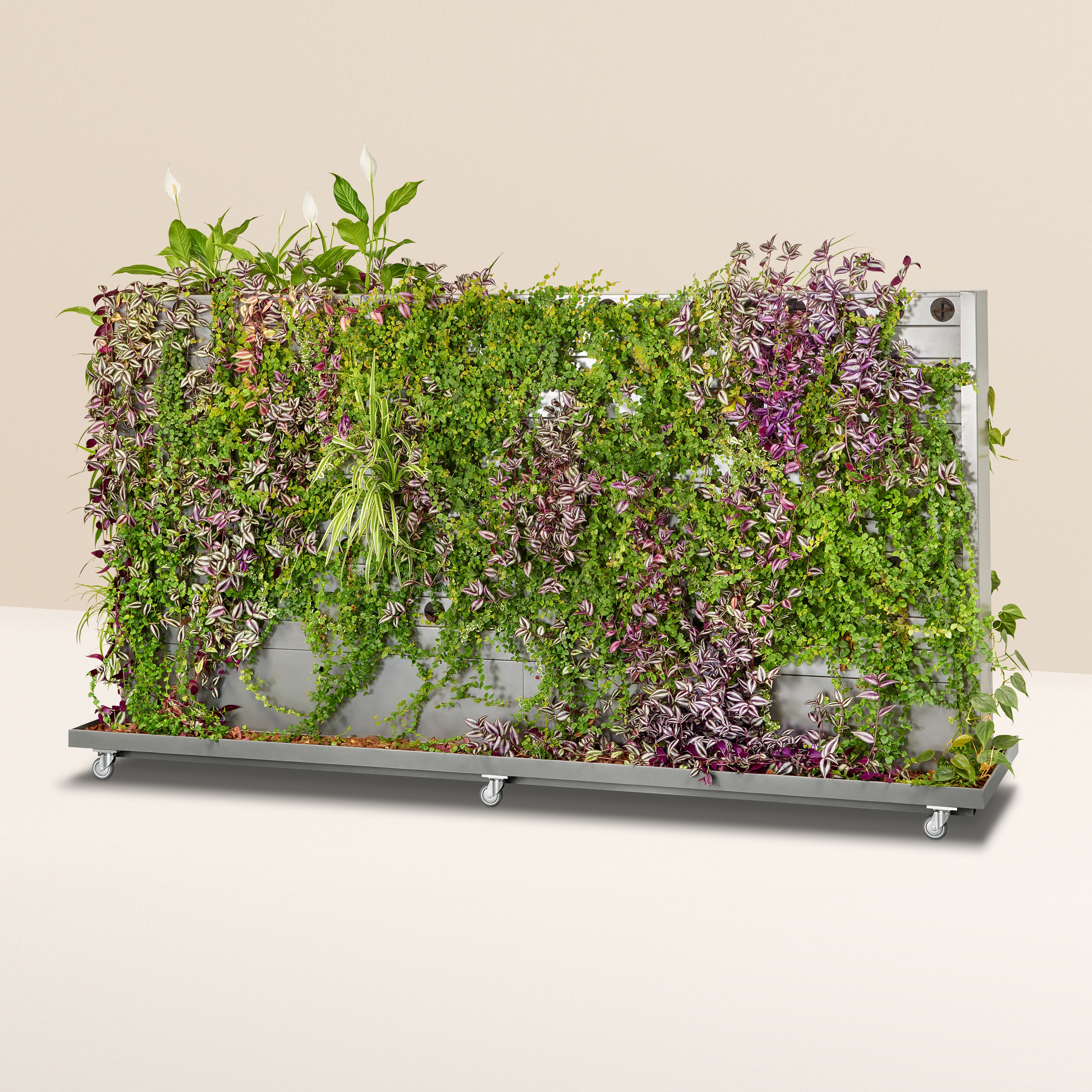 Display product Elo from manufacturer s: stebler