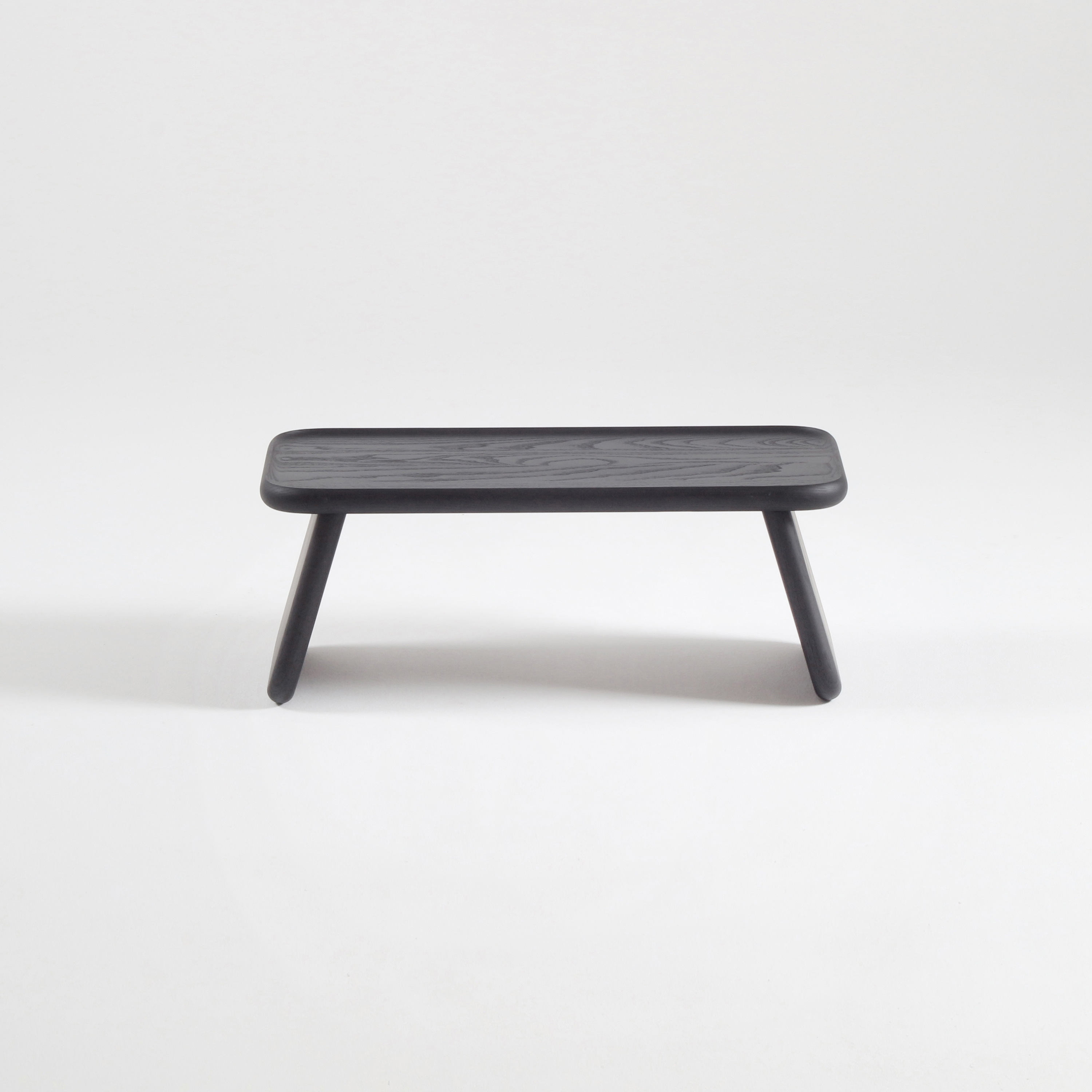 Bento Tray S