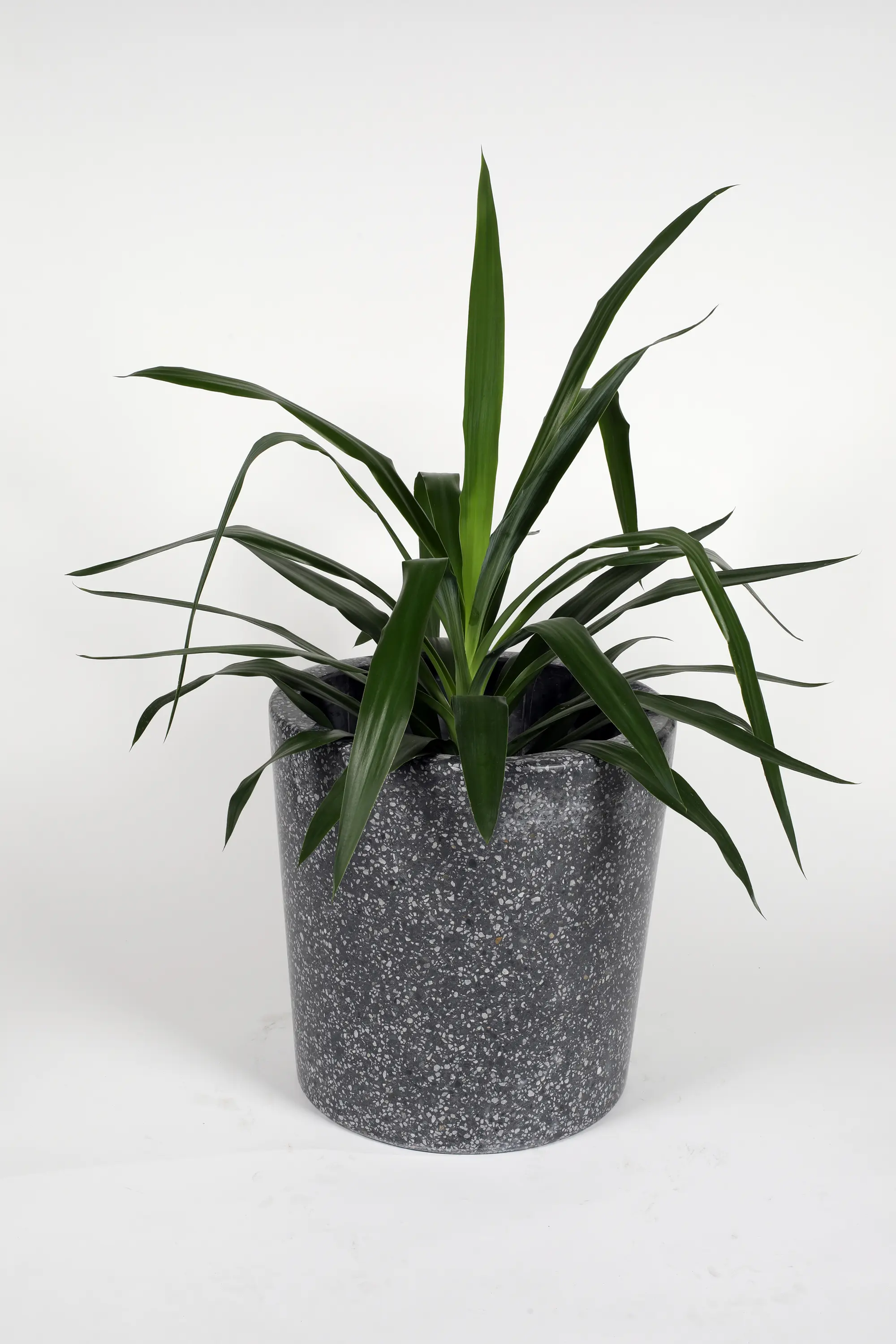 Karoistanbul - Terrazzo Objects  010