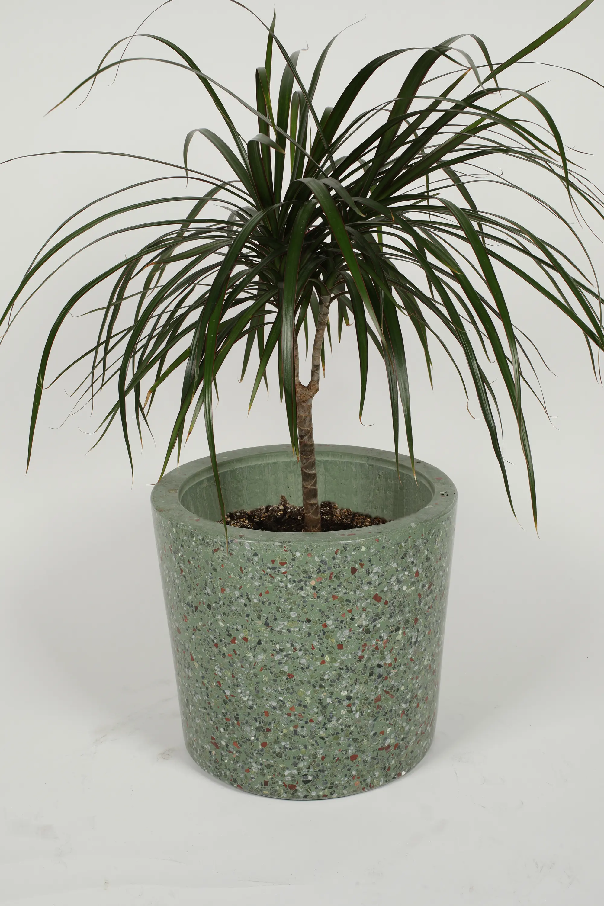 Karoistanbul - Terrazzo Objects  011