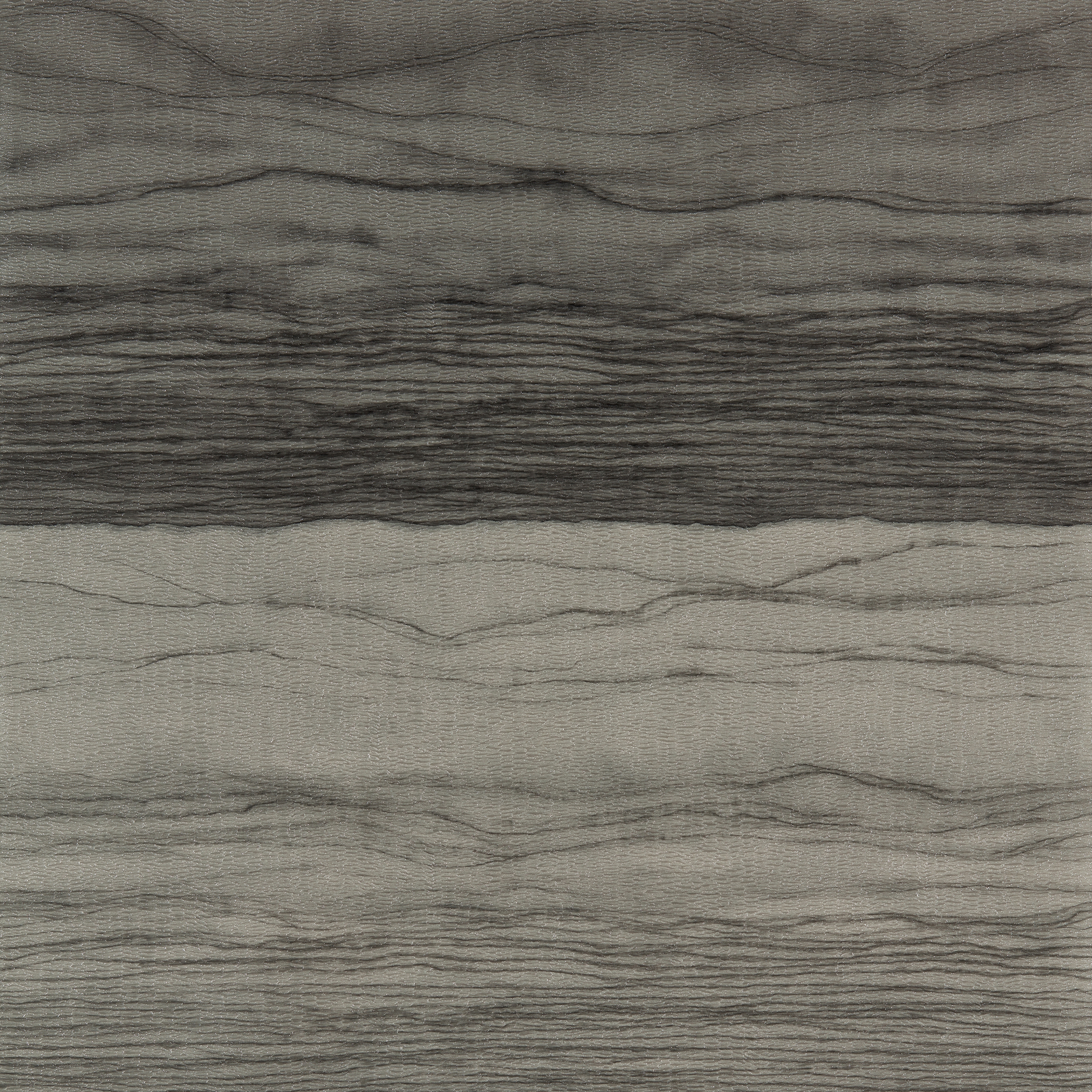 Metamorphic Pyrite/Charcoal