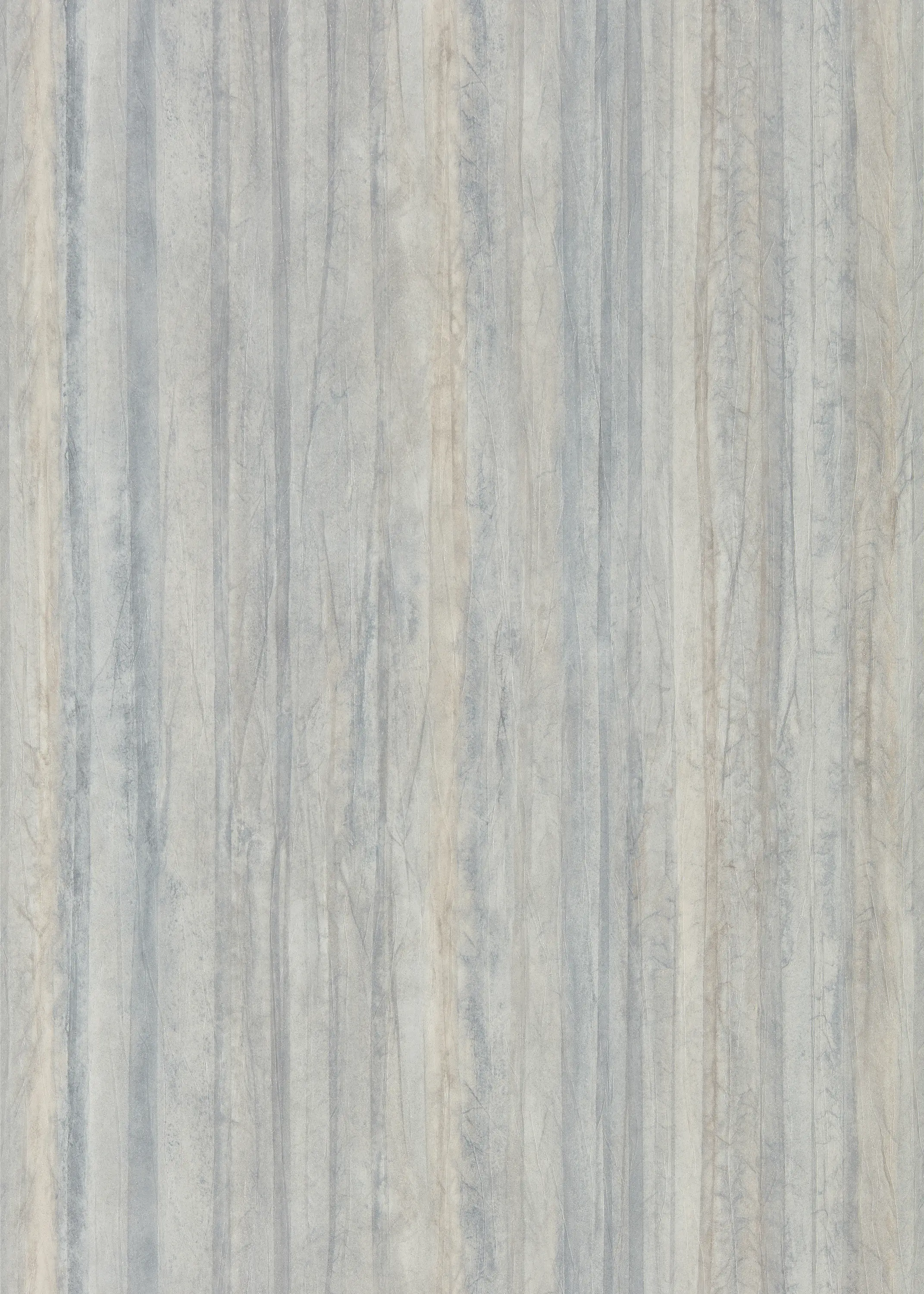 Anthology - Plica Shell/Amethyst