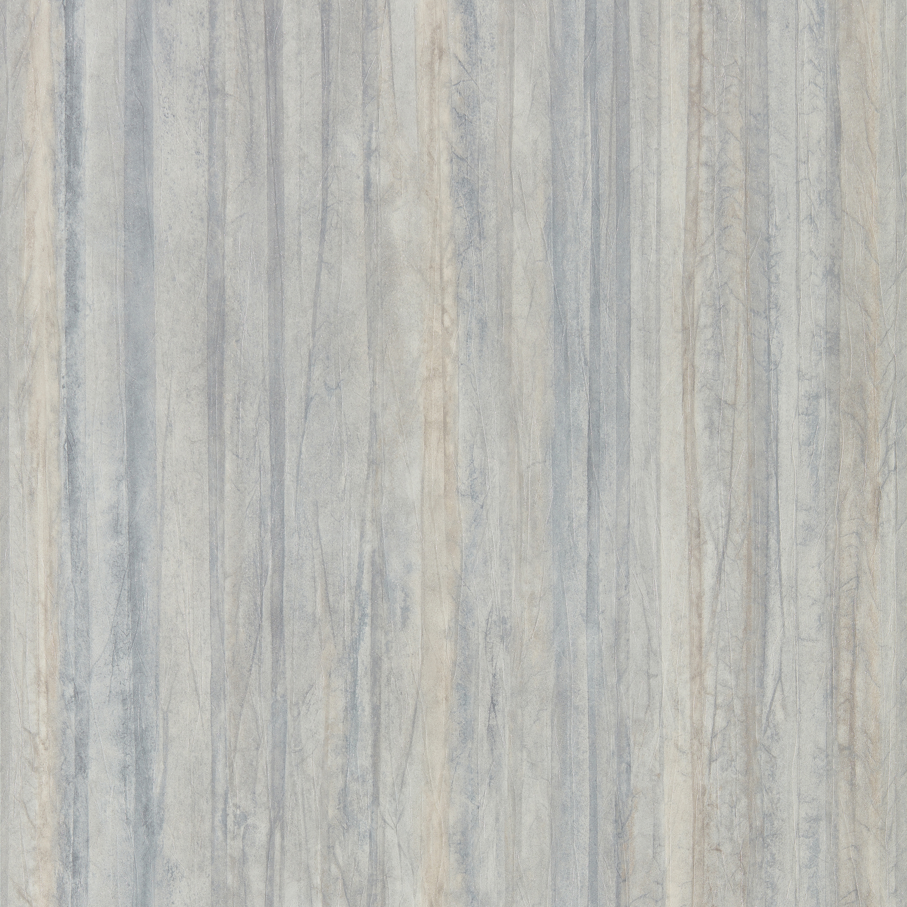 Plica Shell/Amethyst