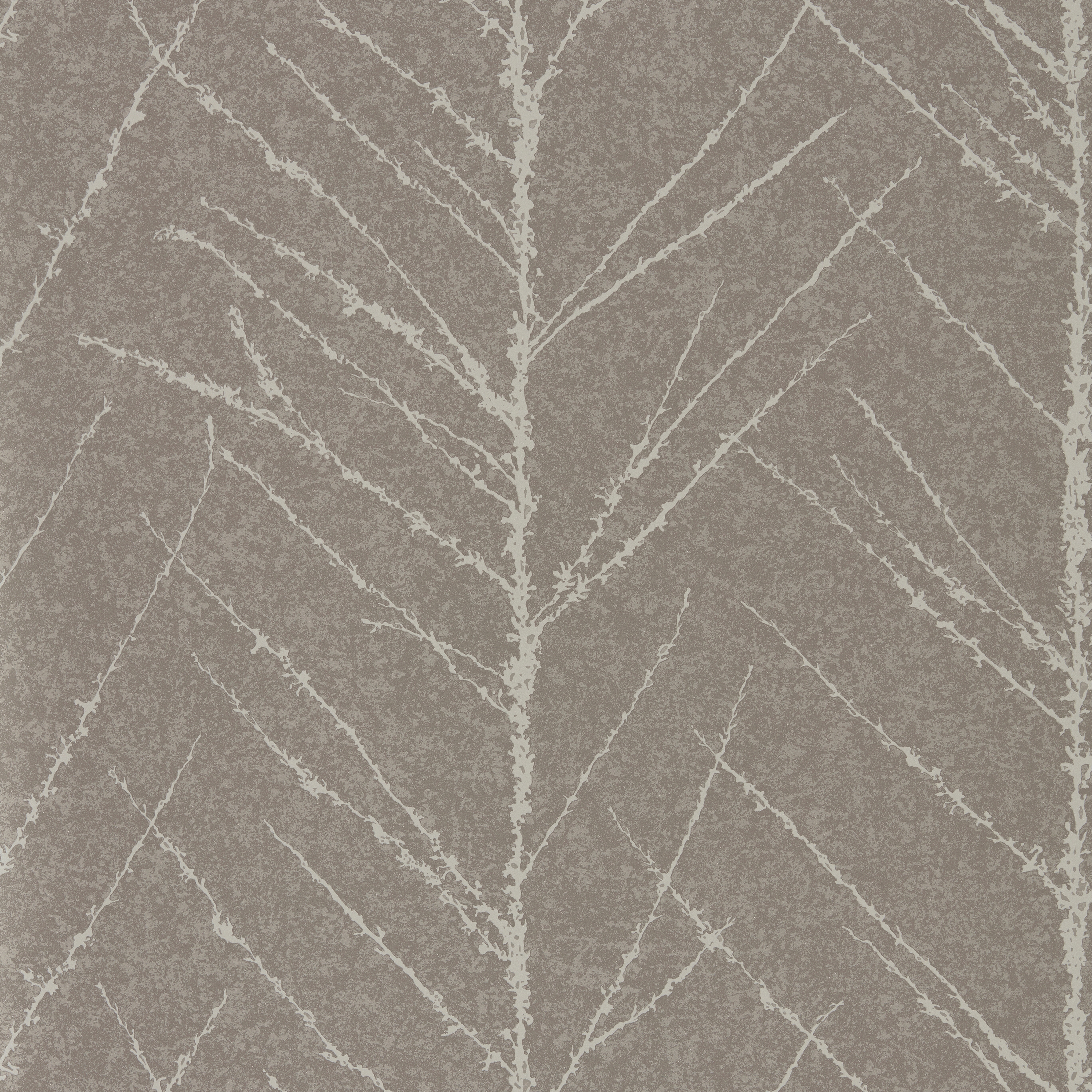 Tali Gilver/Graphite