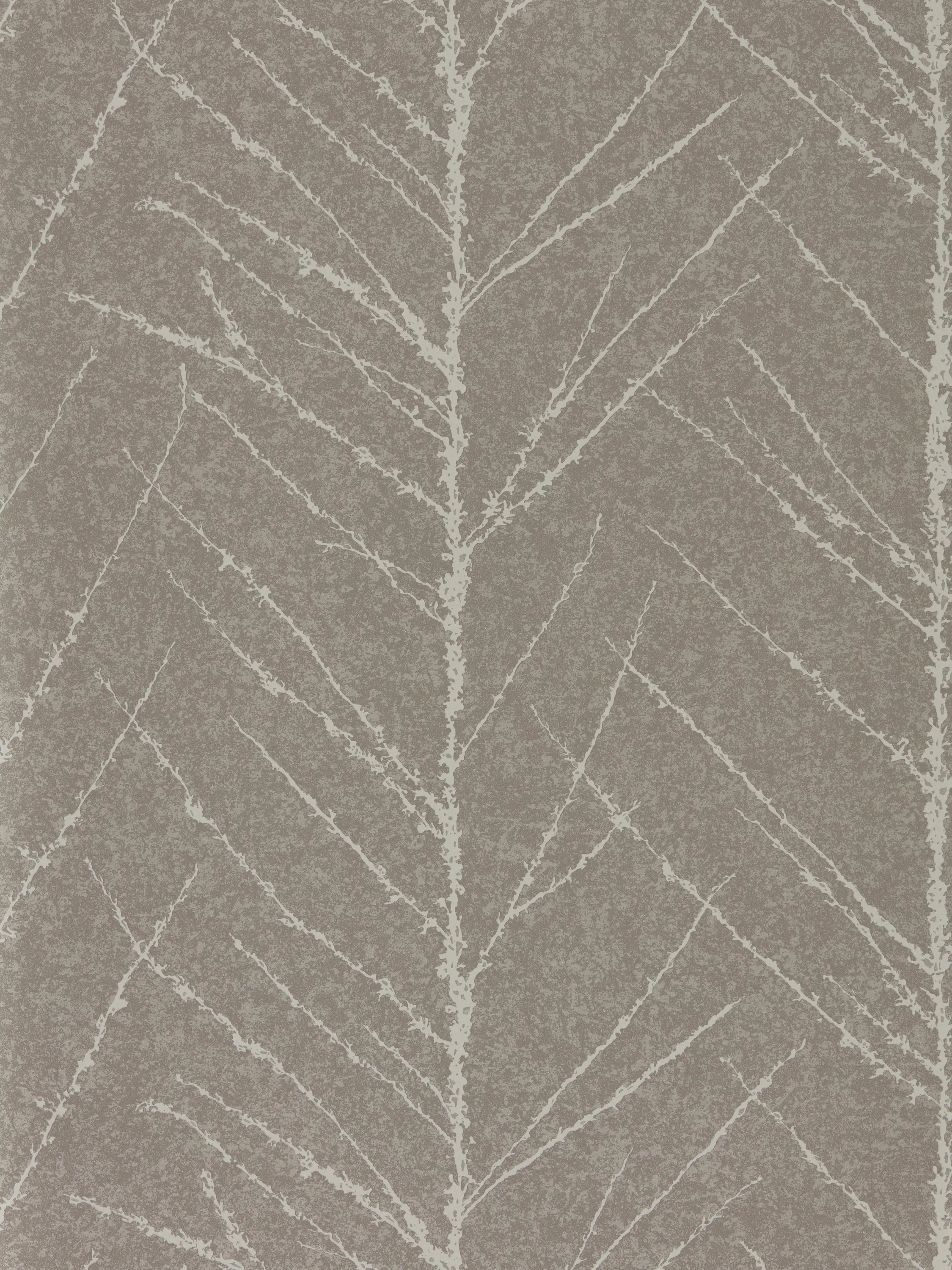 Anthology - Tali Gilver/Graphite