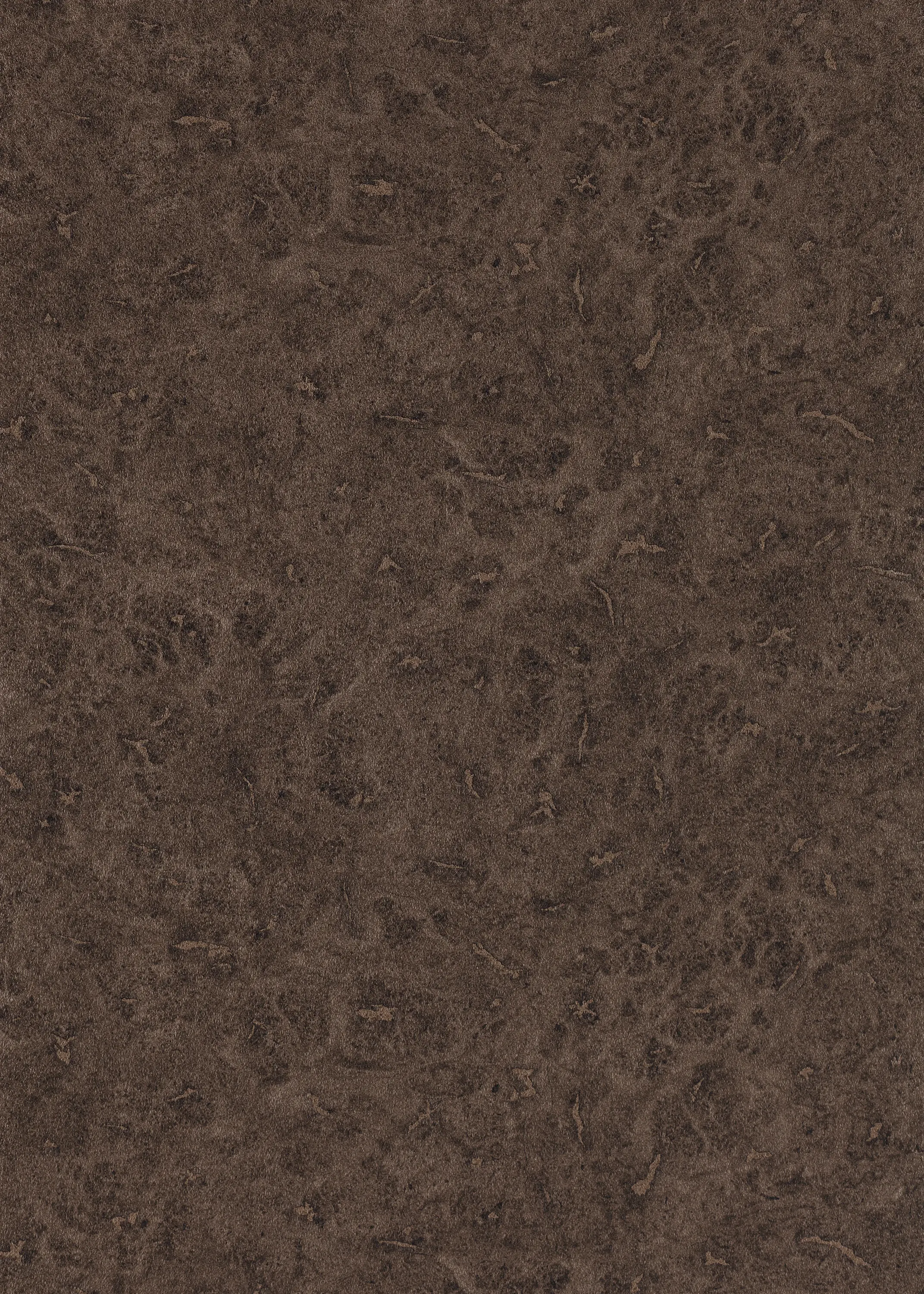 Anthology - Lacquer Walnut