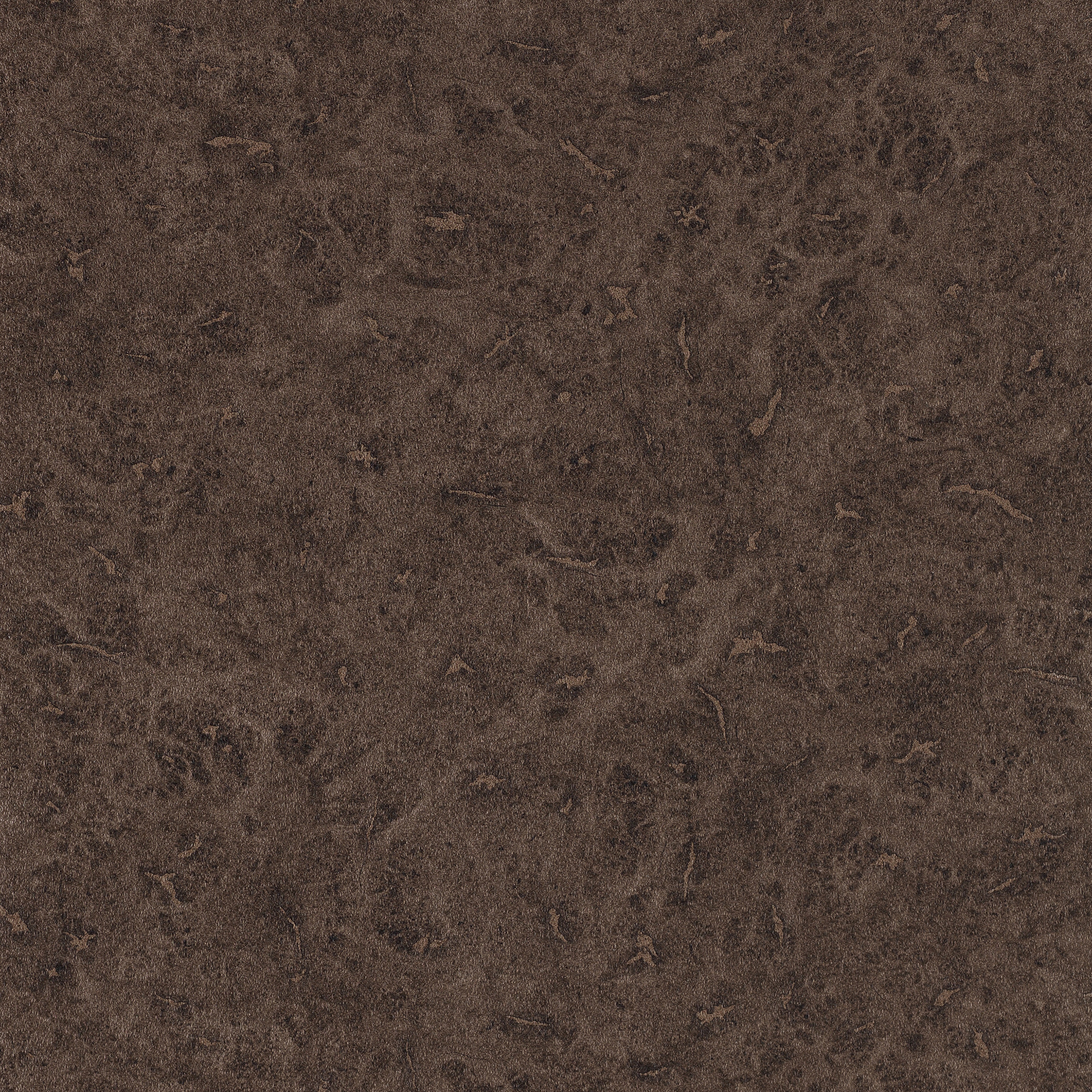Lacquer Walnut