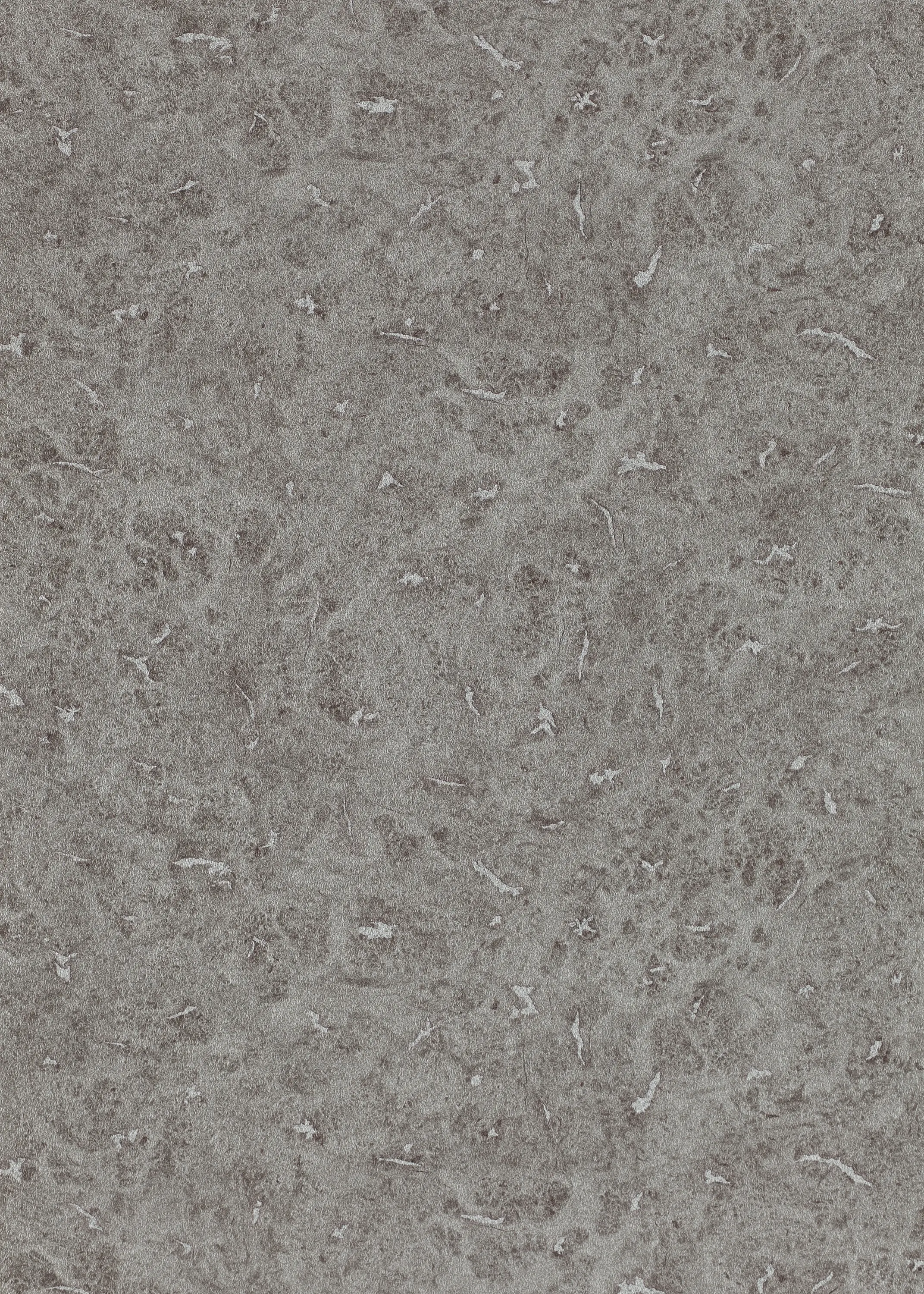 Anthology - Lacquer Shell