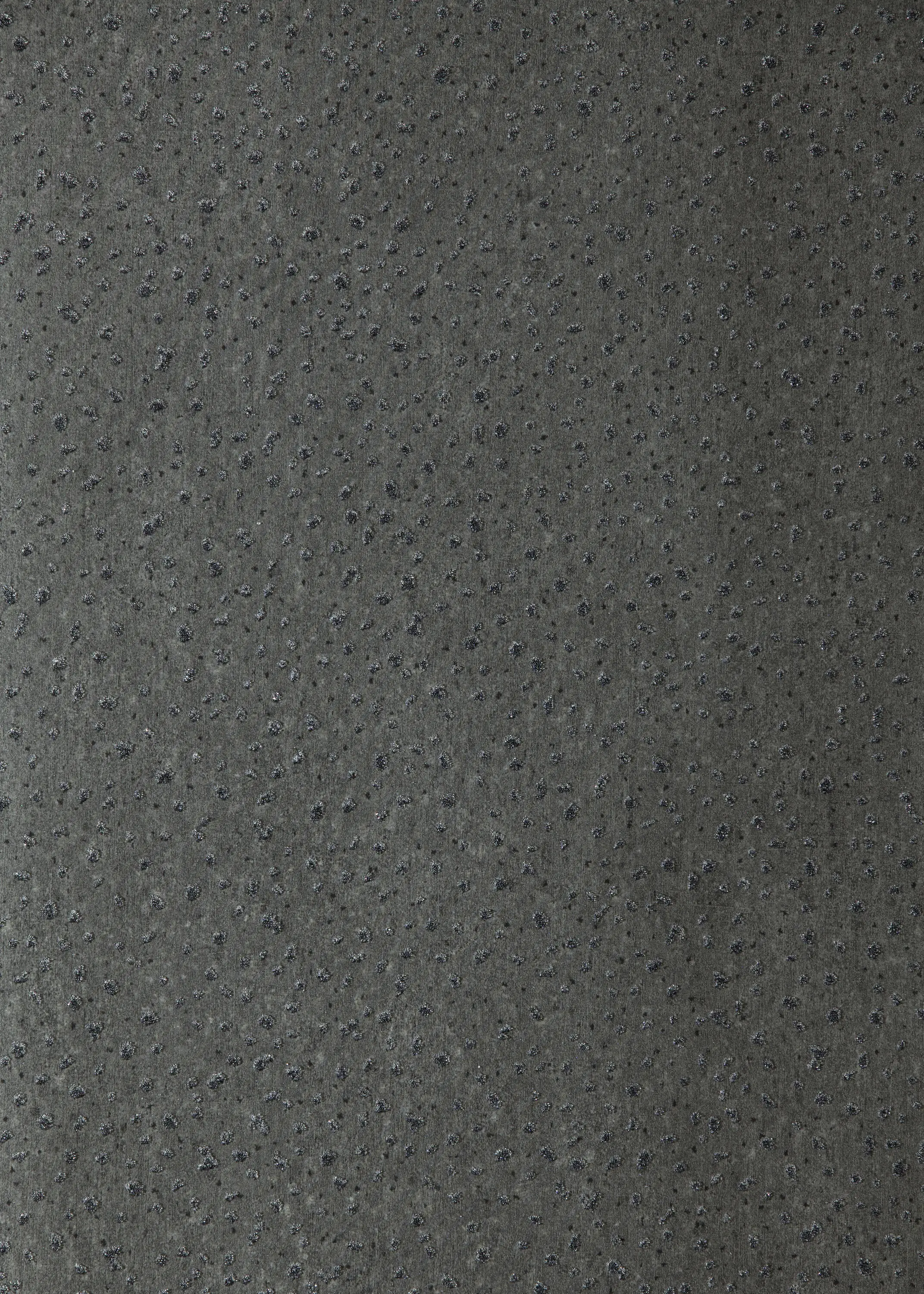 Anthology - Foxy Pewter