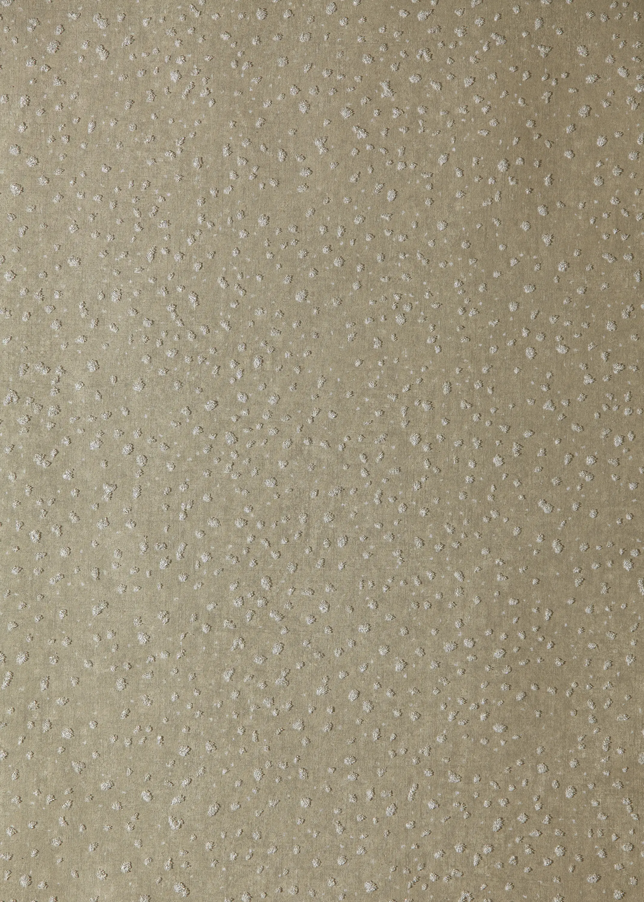 Anthology - Foxy Sandstone