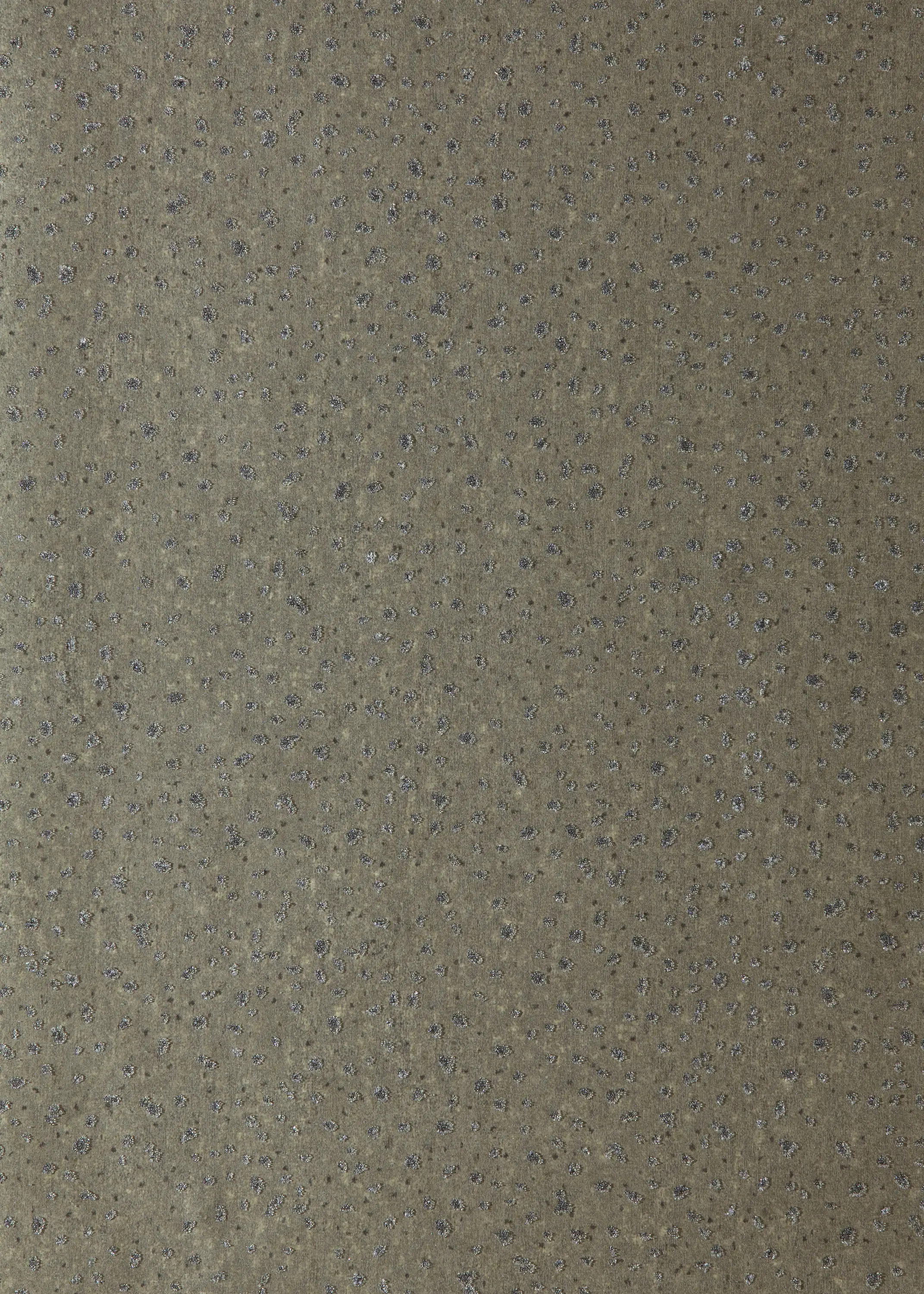 Anthology - Foxy Graphite