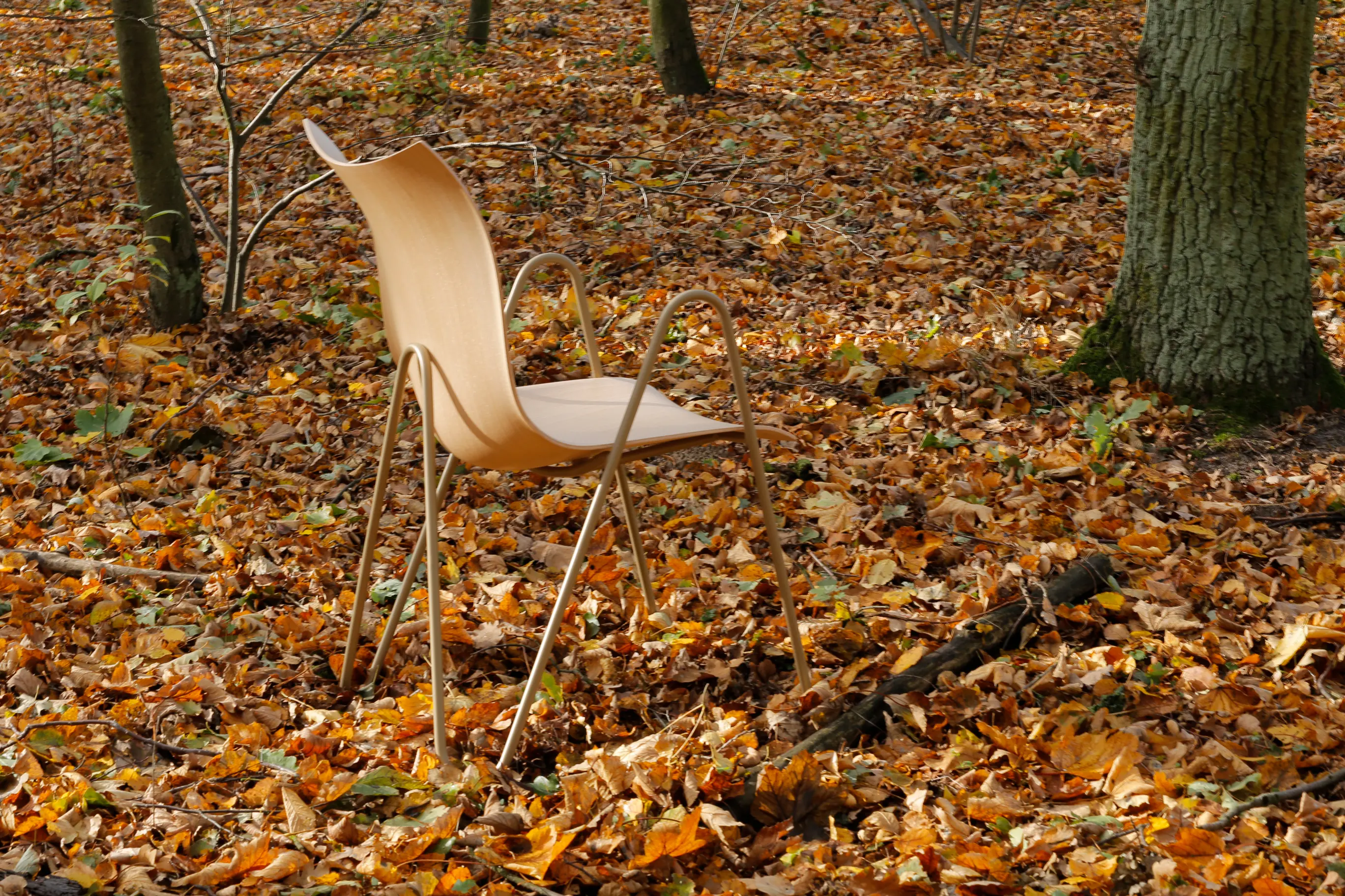 VANK - PEEL wood chair, orange