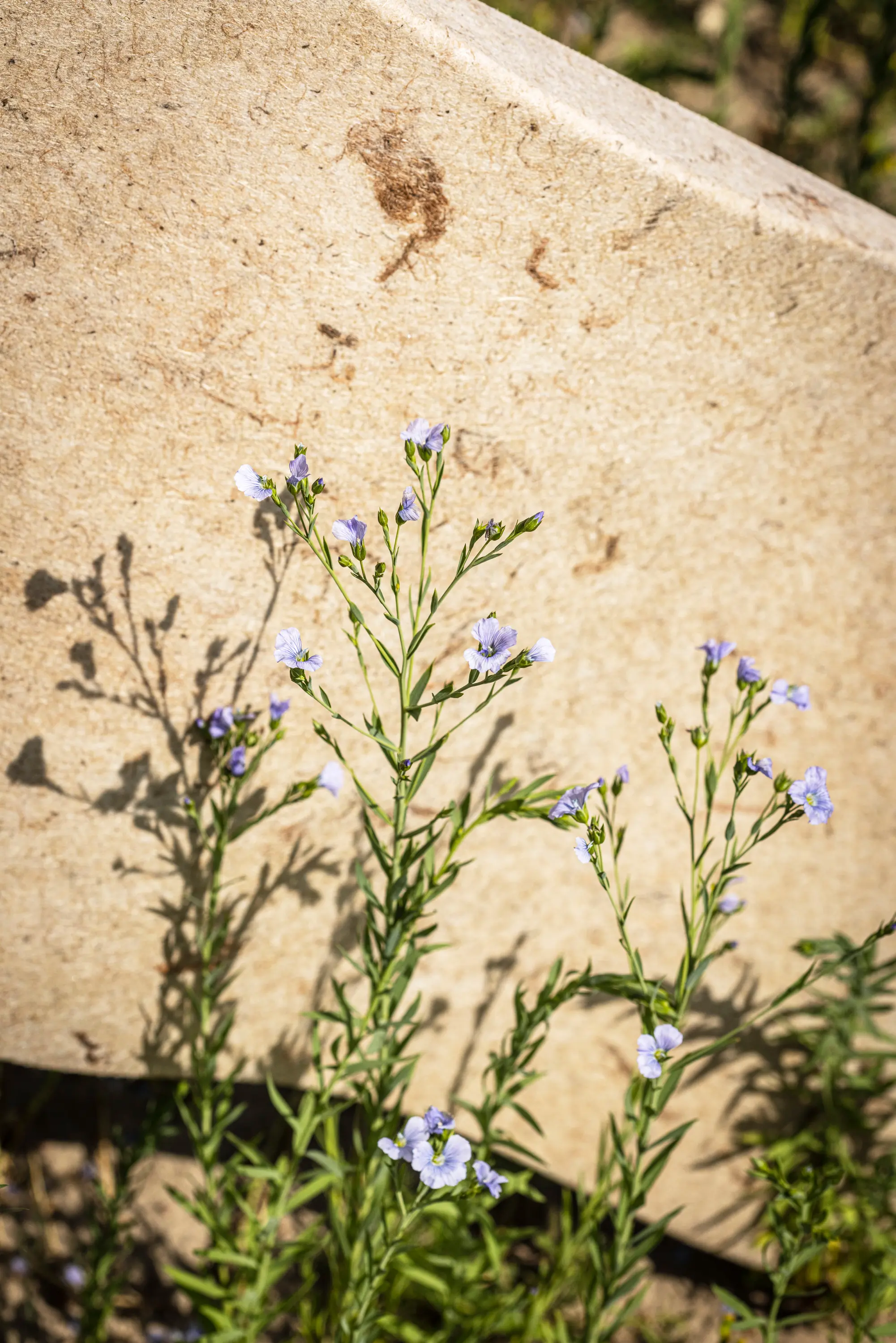 VANK - Recycled PANEL acoustic wall panel