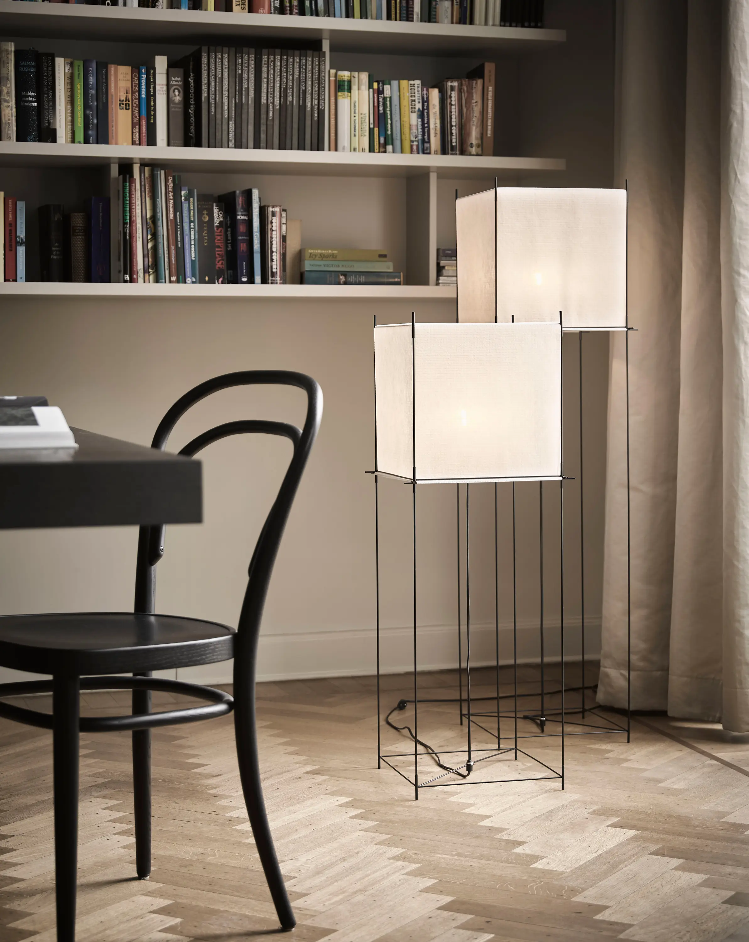 Hollands Licht - Lotek