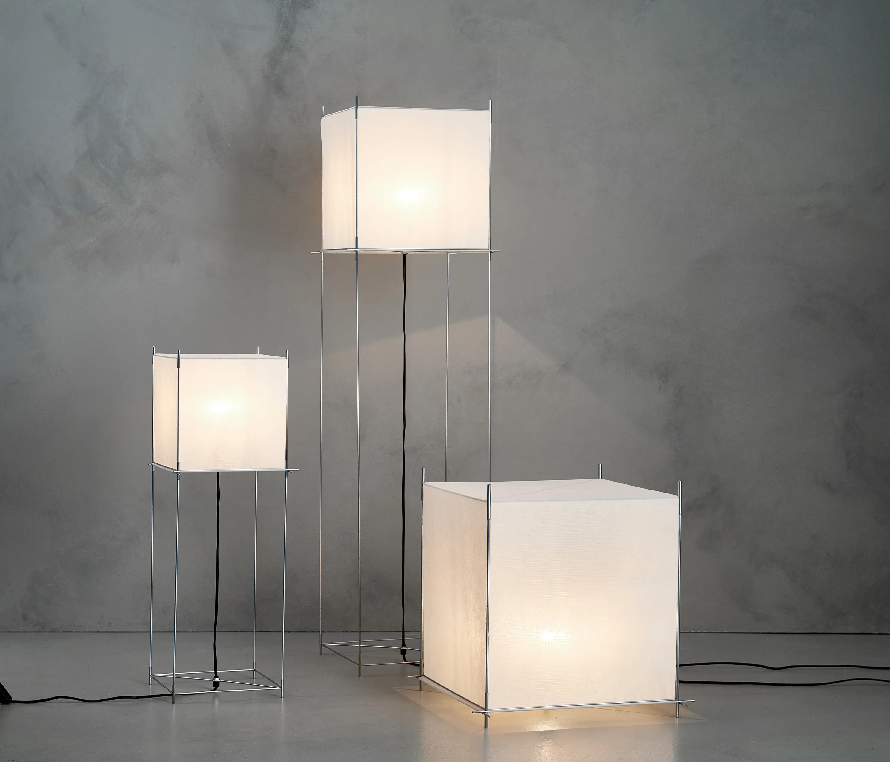 Hollands Licht - Lotek