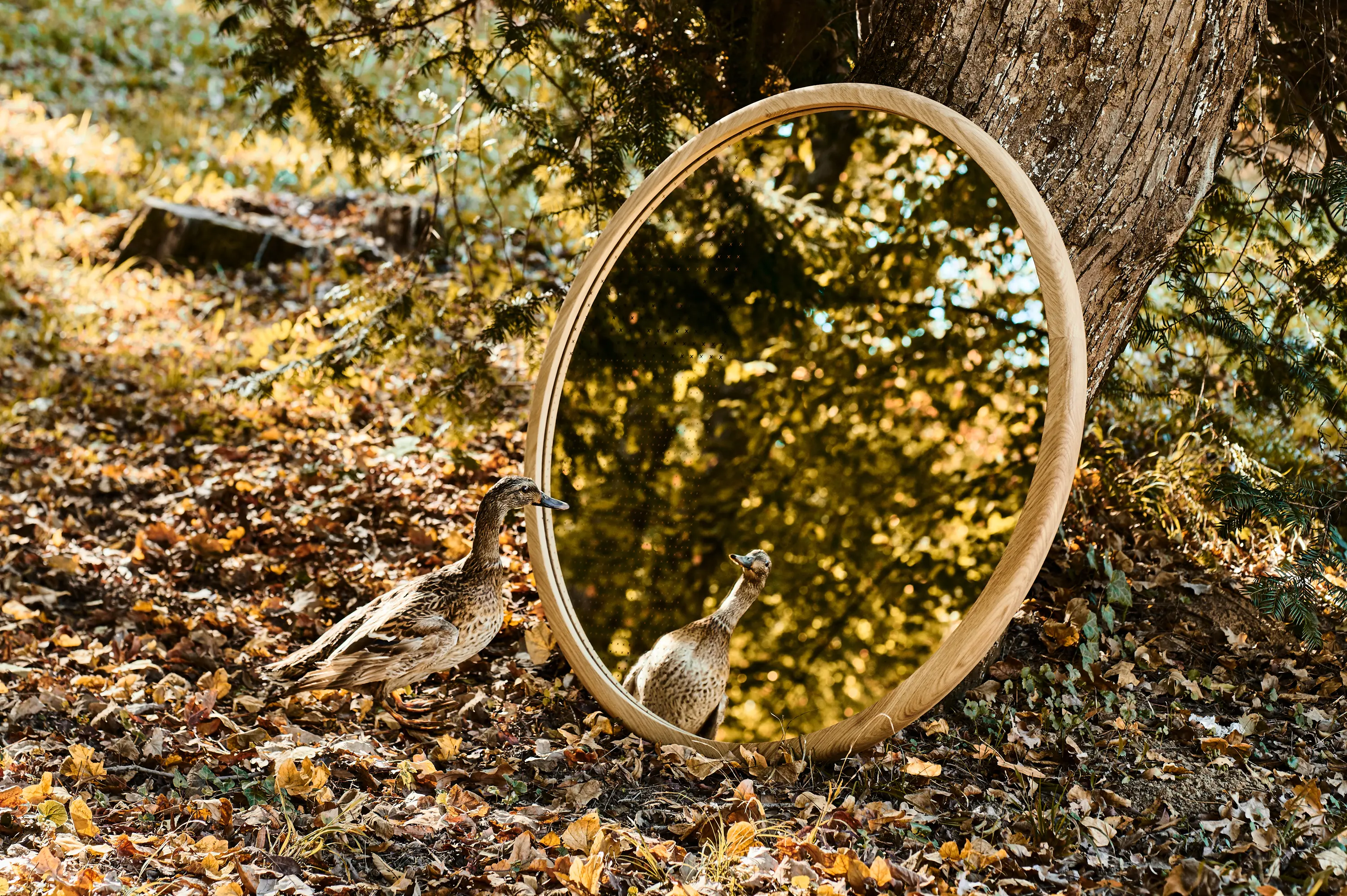 Nunc - Eho mirror