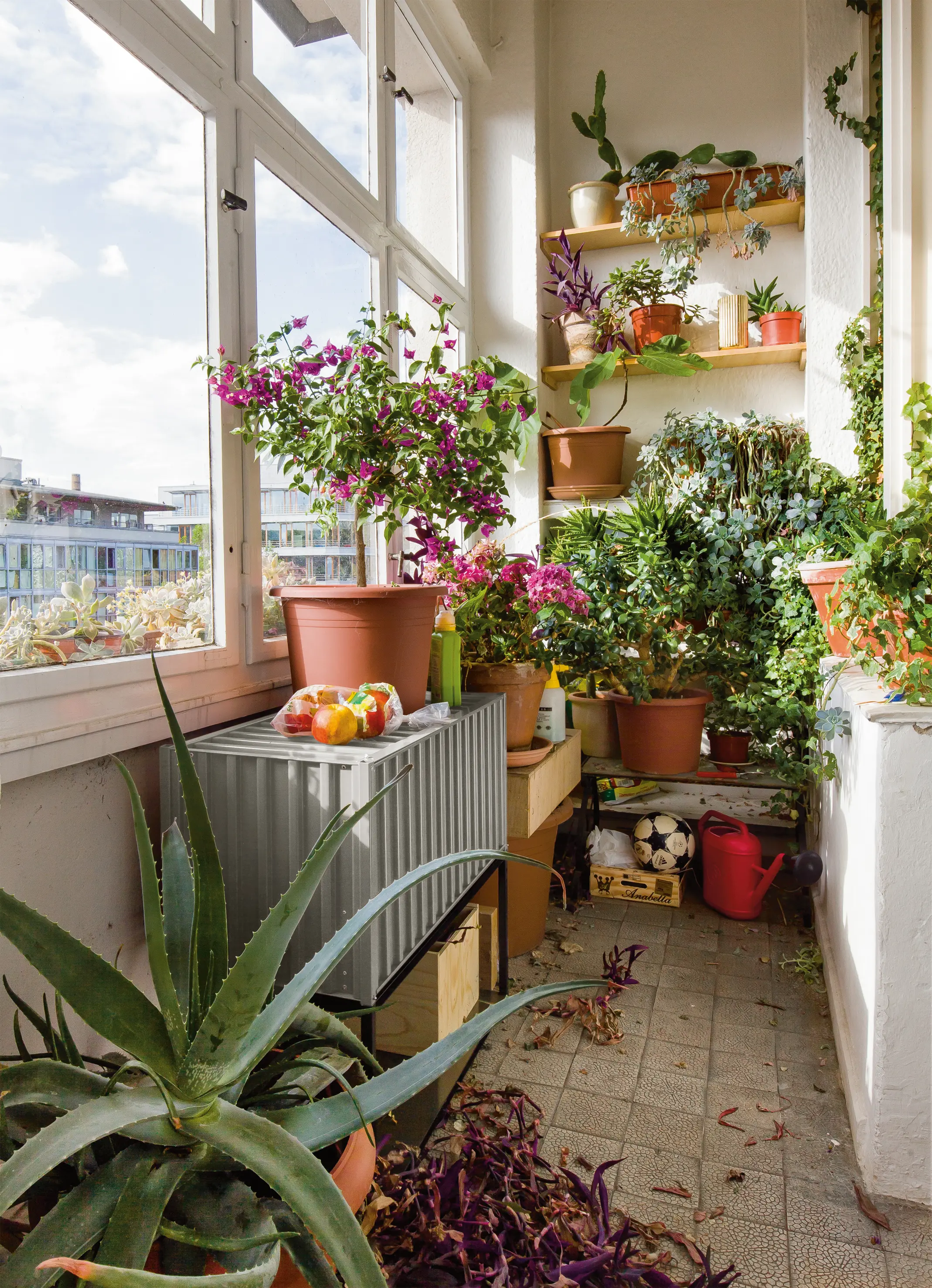 Magazin® - DS | Container small - pearl white RAL 1013