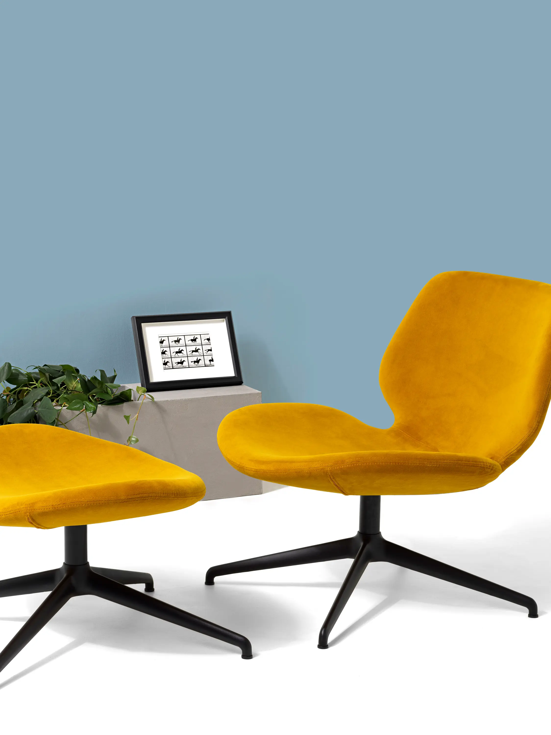 Diemme - Eon Lounge - Sessel und sofas
