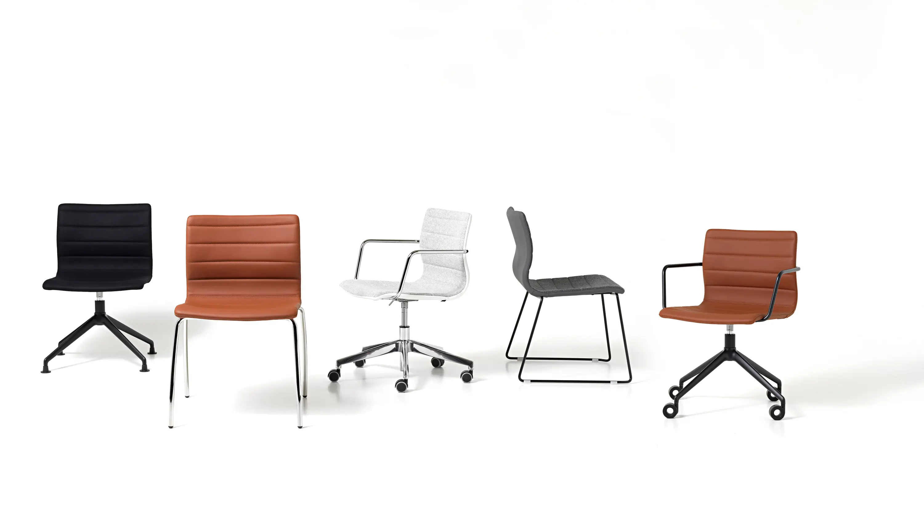 Diemme - Miss - Besuchs