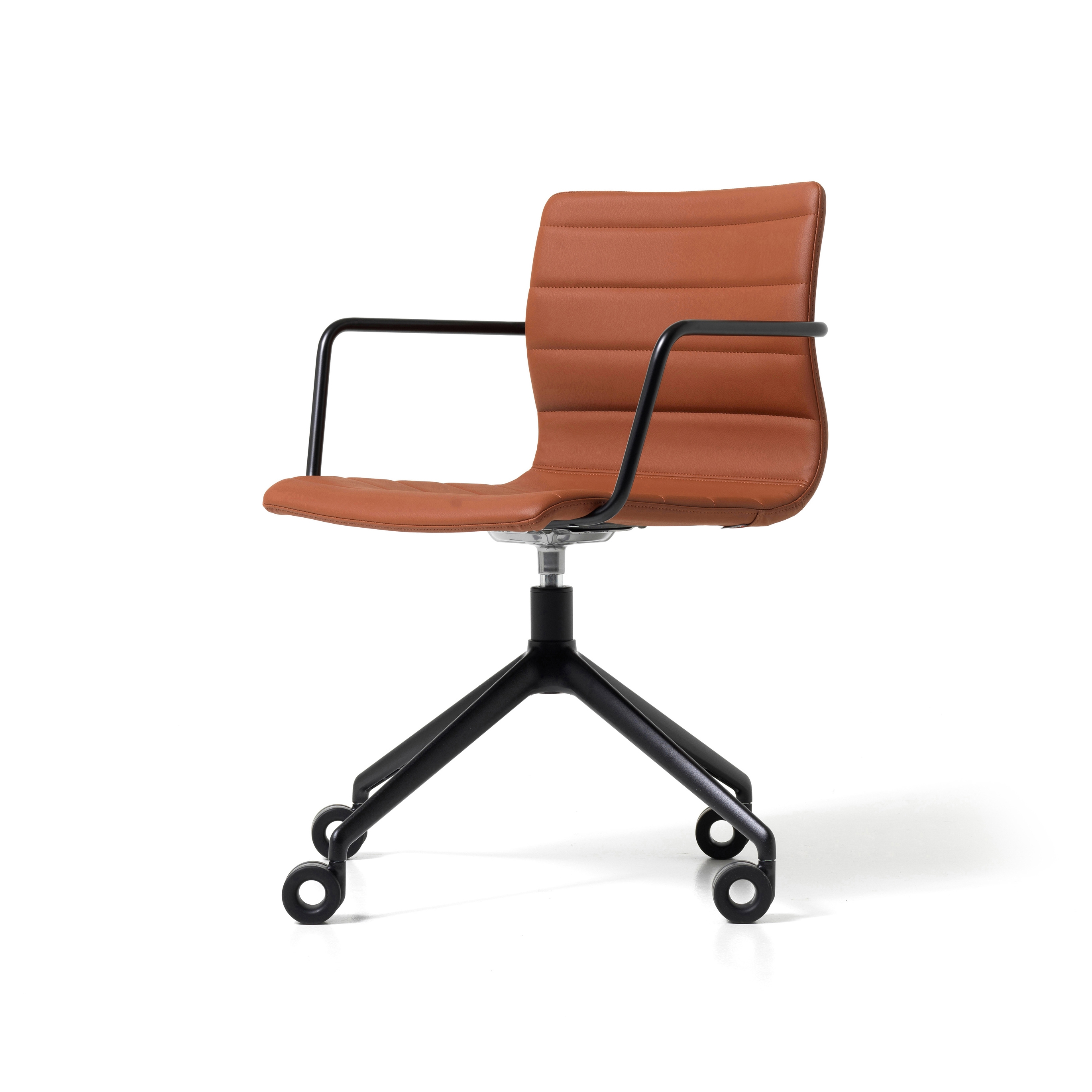 Display product Miss - Visitor from manufacturer Diemme