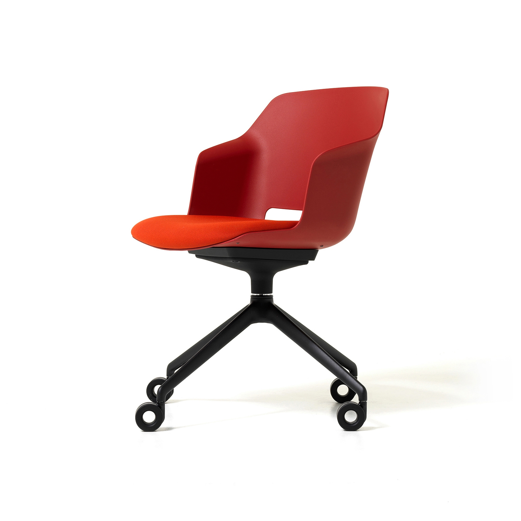 Display product Clop - Visitor from manufacturer Diemme