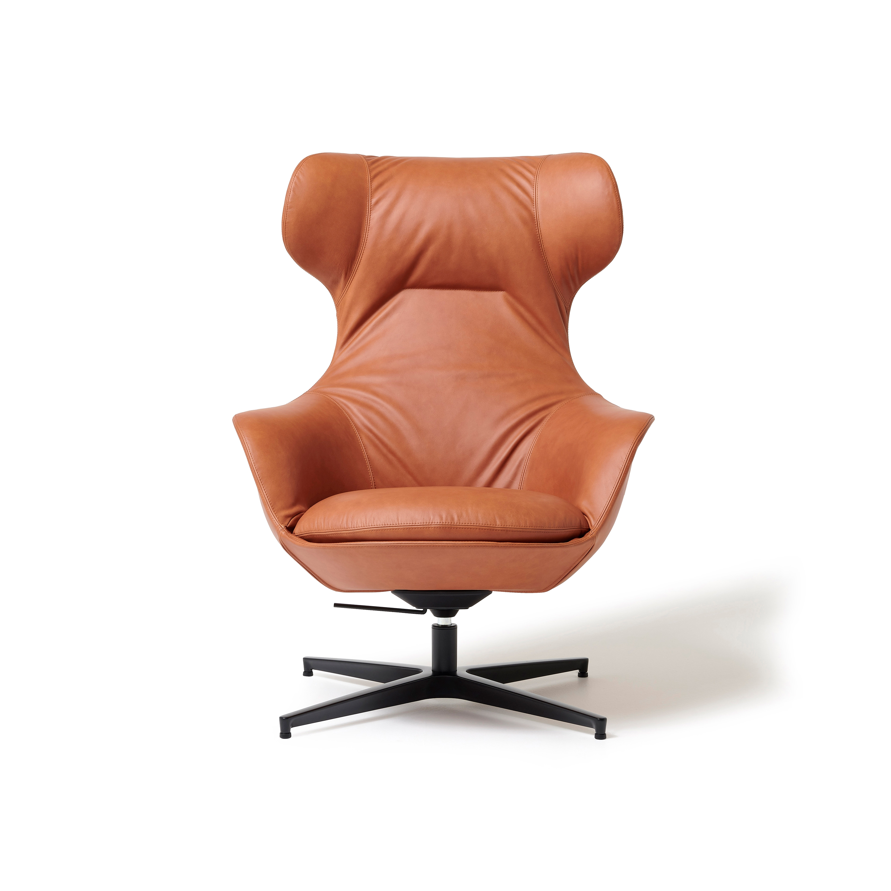 Display product Musa Lounge - Soft seating from manufacturer Diemme