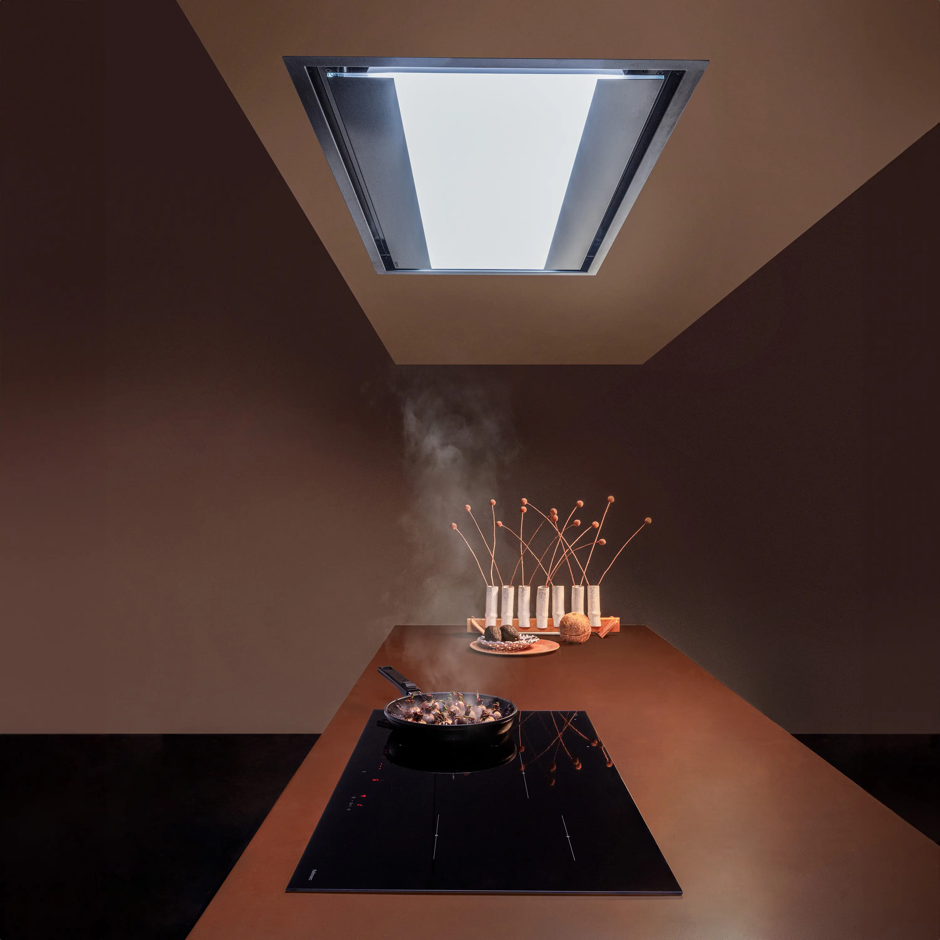 Falmec - Induction hobs | Cooking system