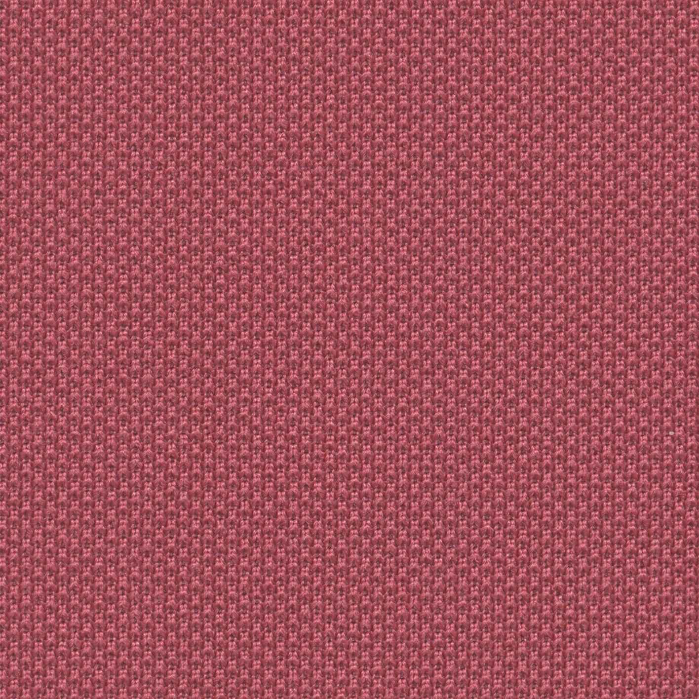 One | 005 | 4079 | 04