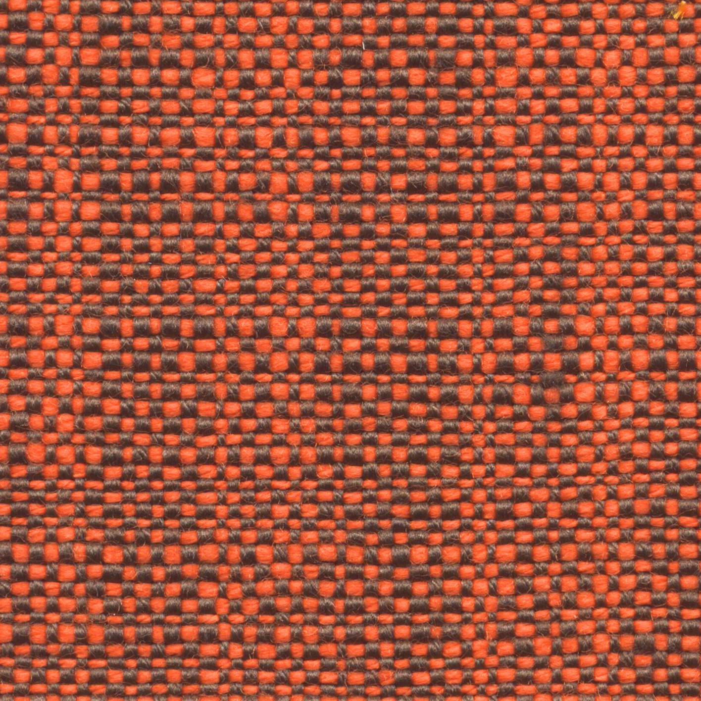Safari | 002 | 9408 | 04