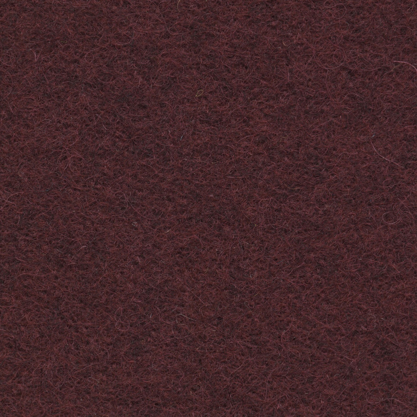 Terra | 001 | 4503 | 04
