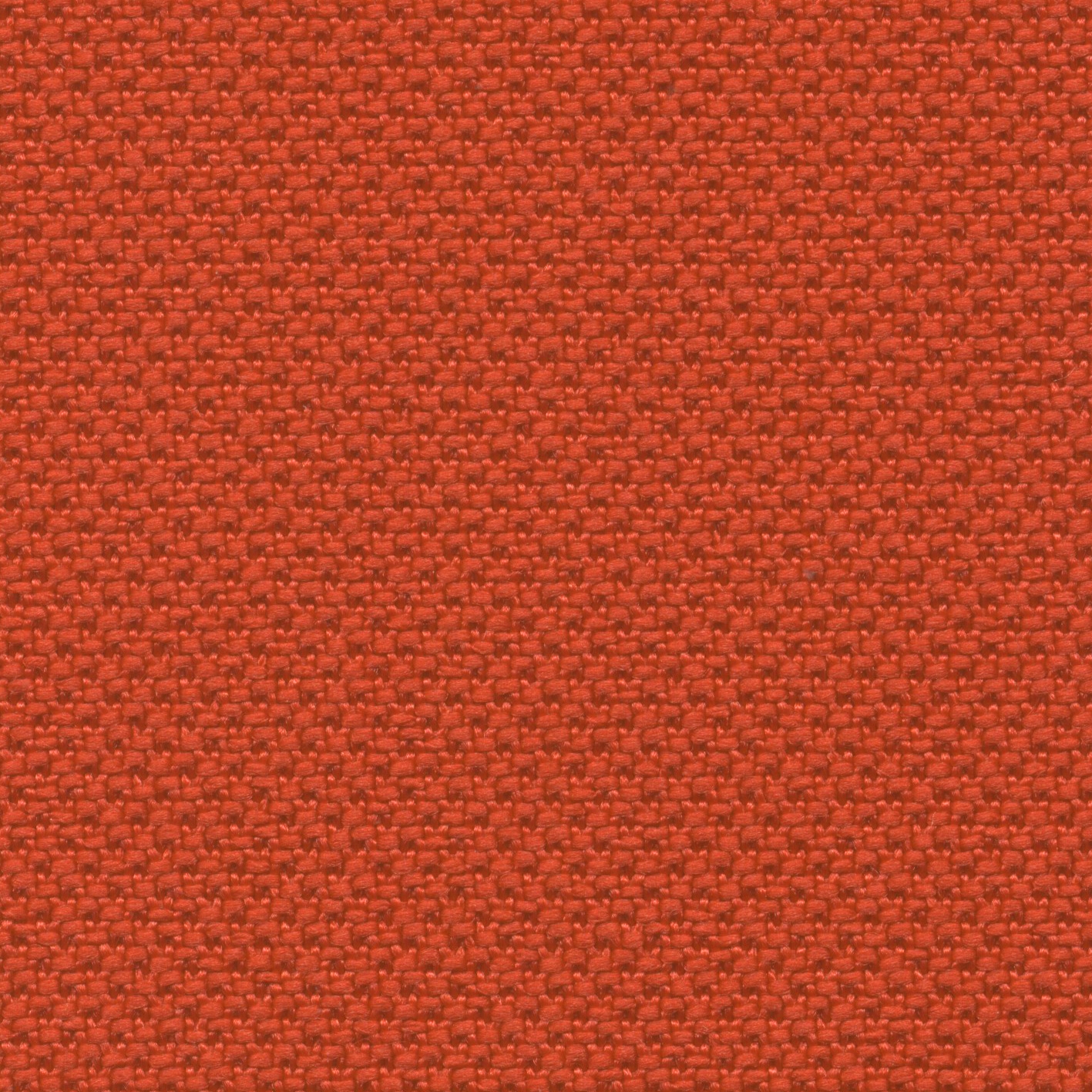 Alba | 003 | 4004 | 04