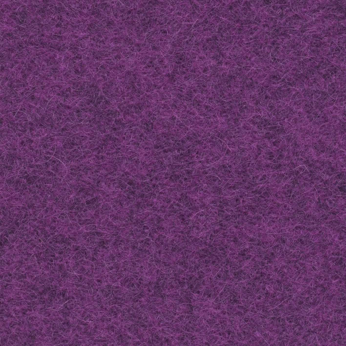 Flamenco | 002 | 5005 | 05