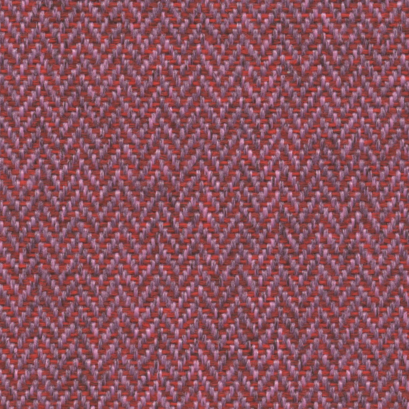 Fox | 011 | 9501 | 05
