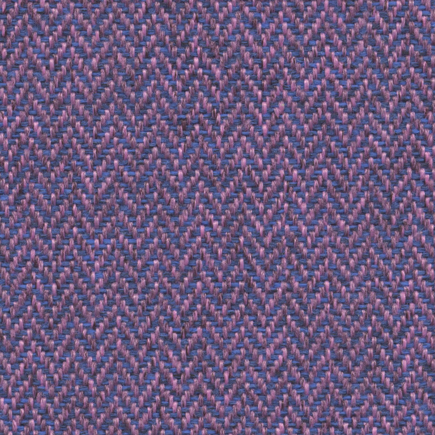 Fox | 013 | 9504 | 05