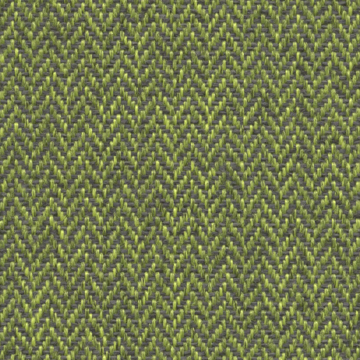 Fidivi - Fox | 017 | 9703 | 07