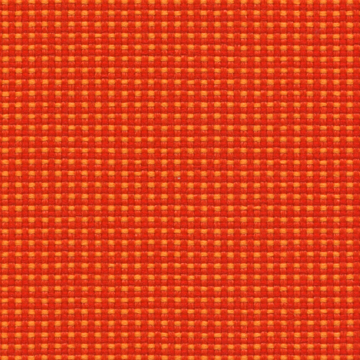 King L Elast |  008 | 3536 | 03