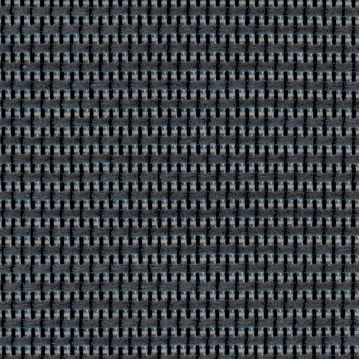 Max | 003 | 8007 | 08