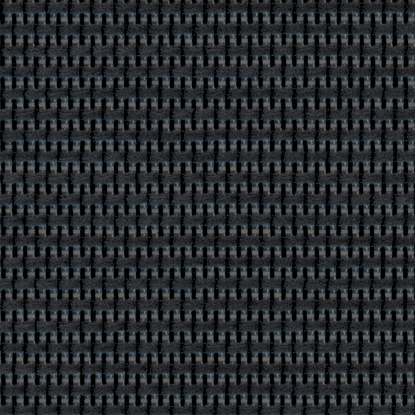 Max | 004 | 8033 | 08