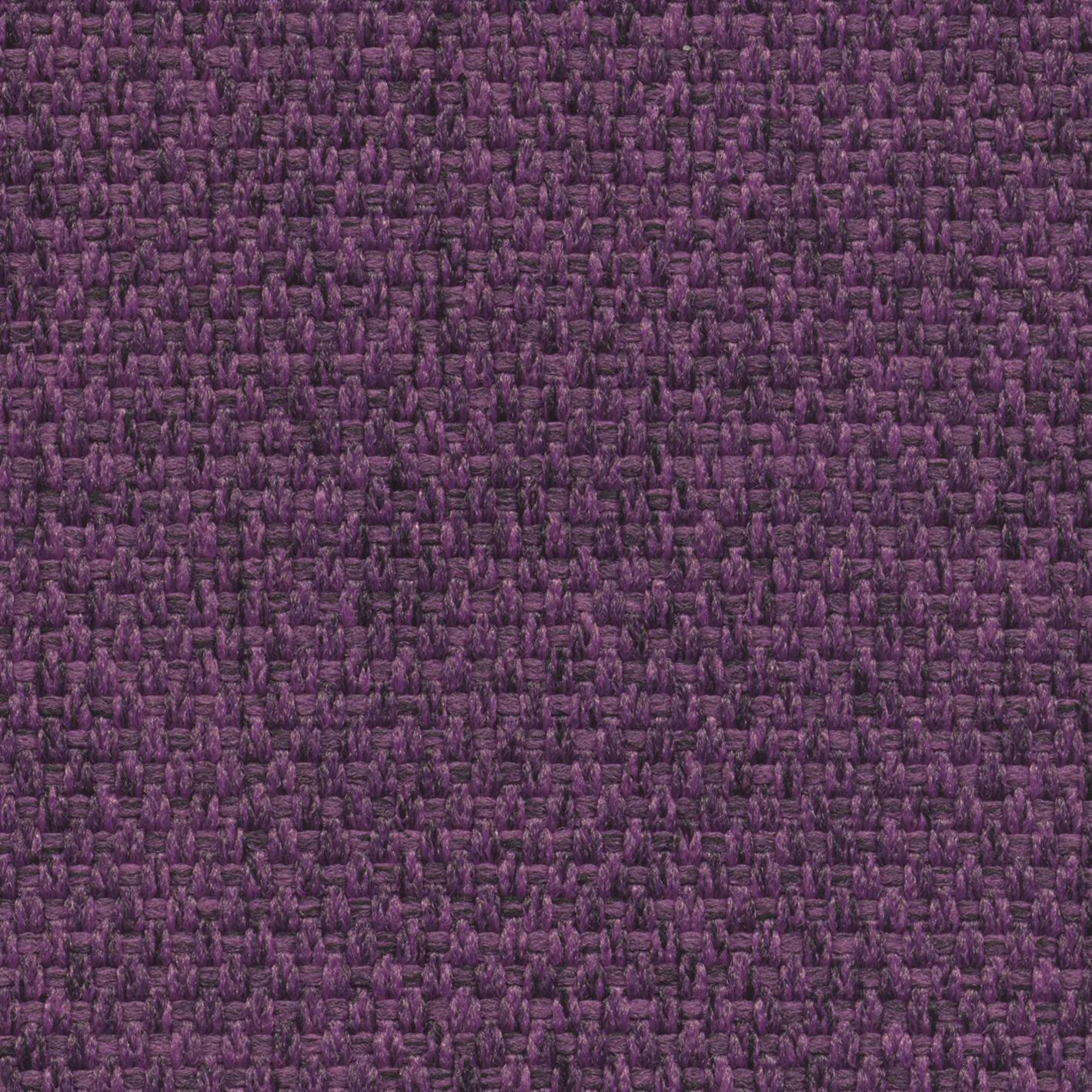 Mini | 012 | 5596 | 05