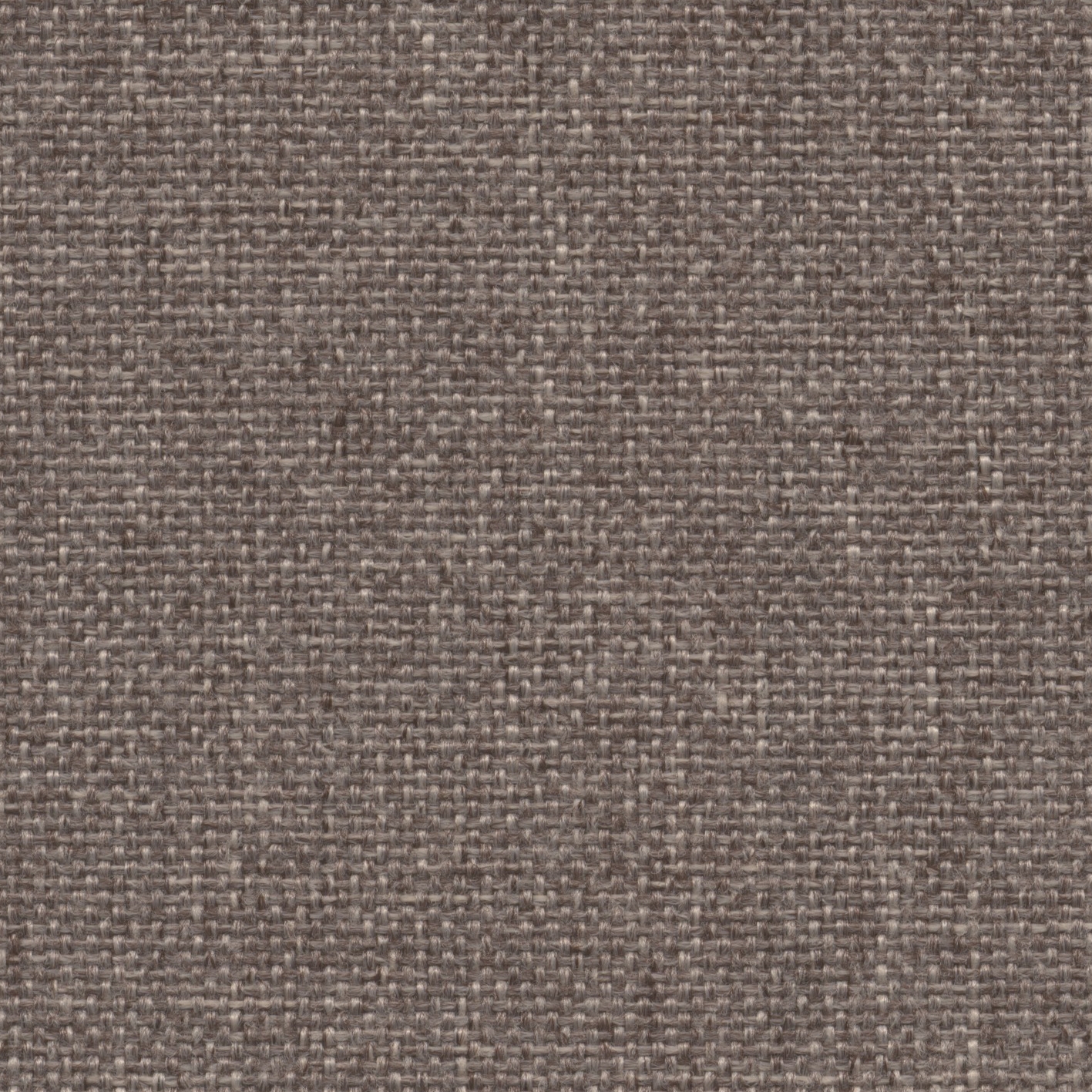 Roccia | 003 | 1504 | 02